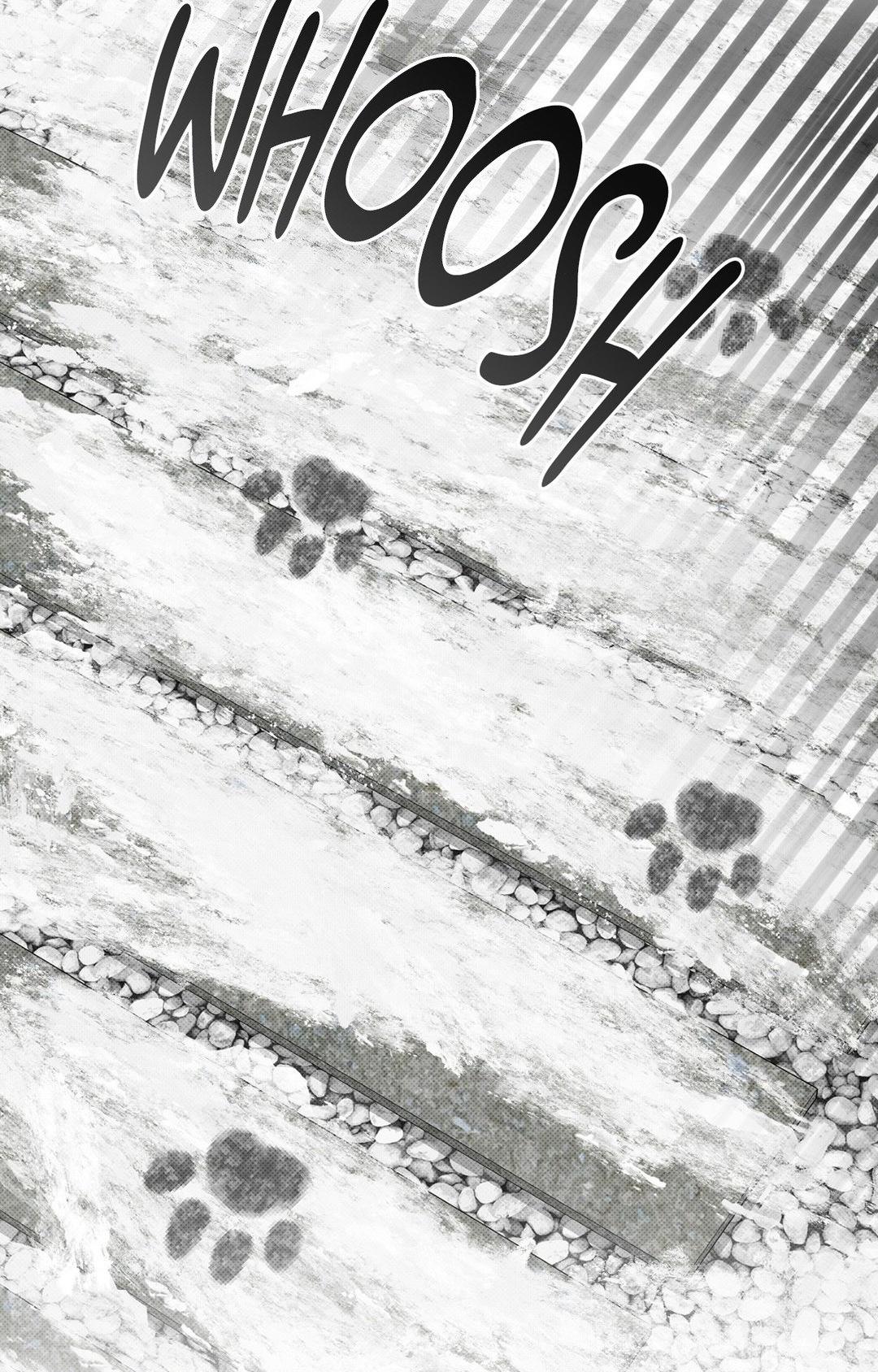 Paws & Claws - Chapter 33 manhwa