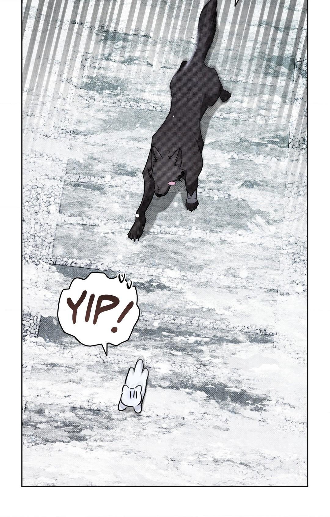 Paws & Claws - Chapter 33 manhwa