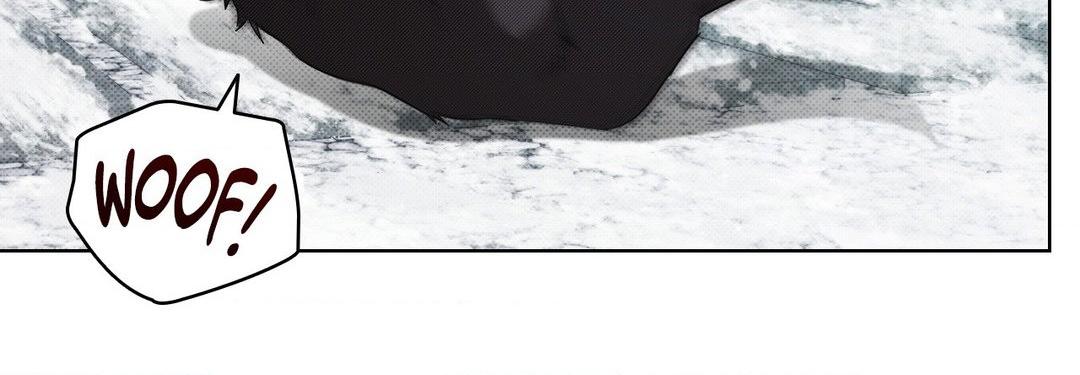 Paws & Claws - Chapter 33 manhwa