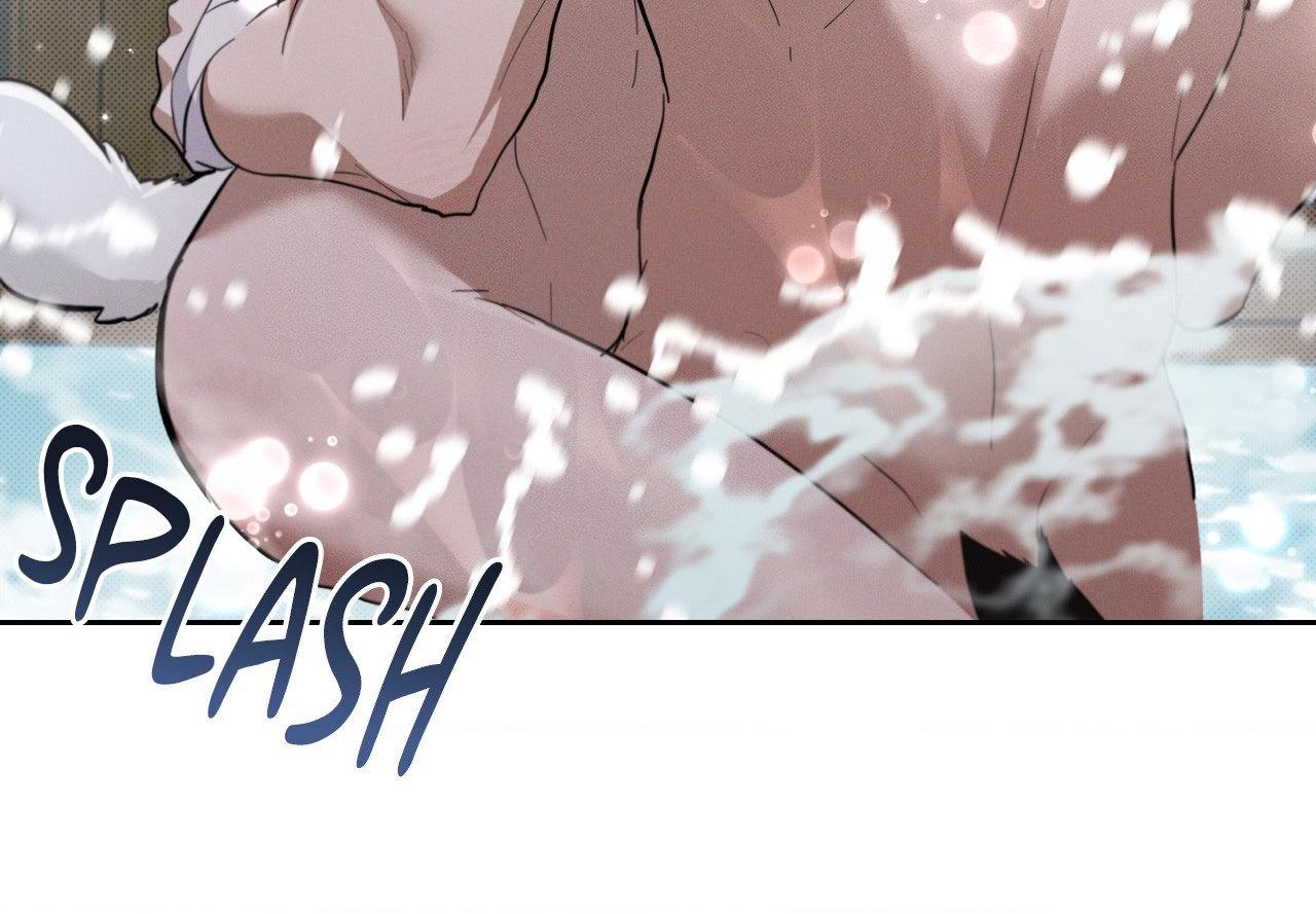 Paws & Claws - Chapter 34 manhwa