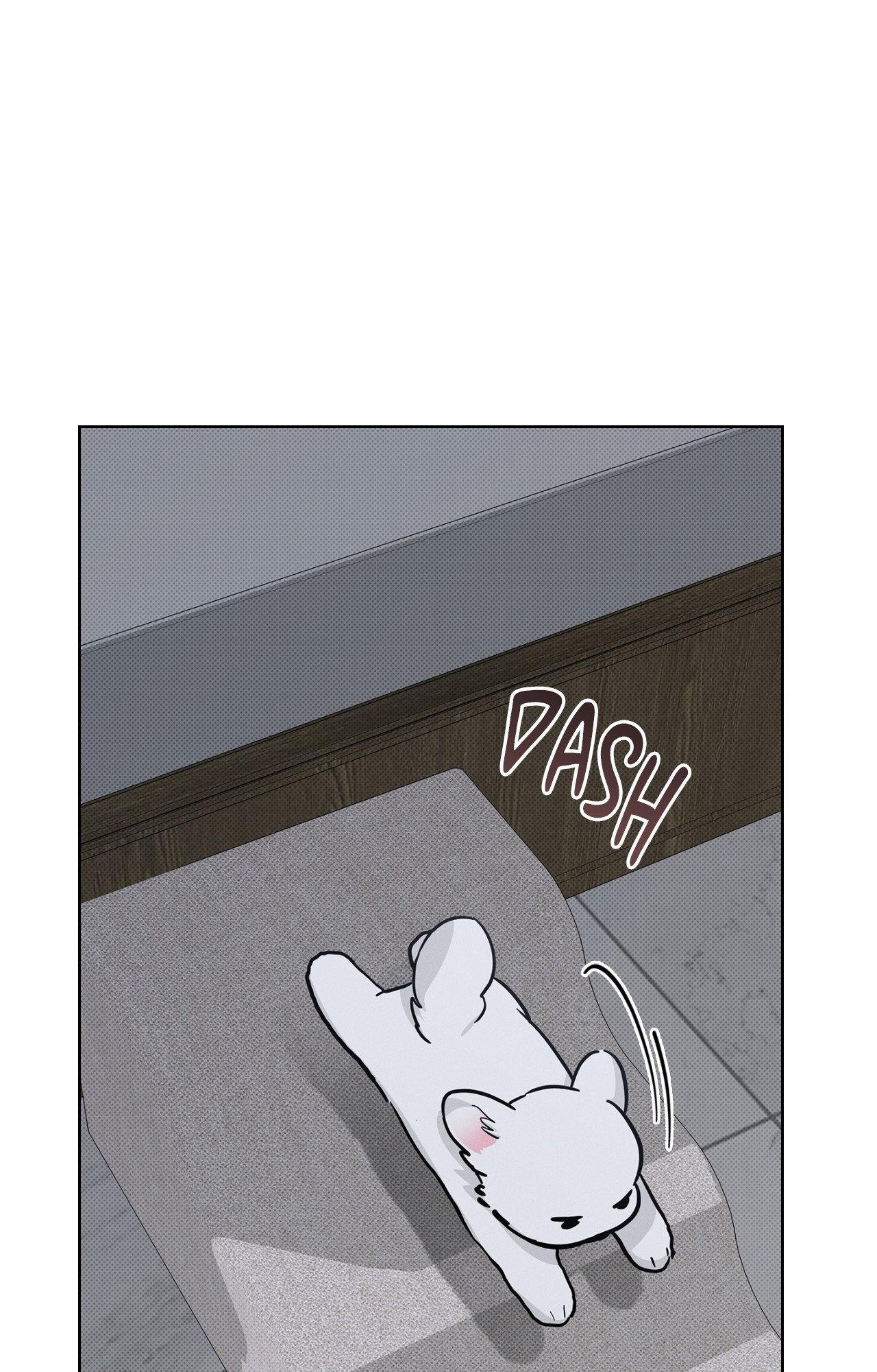 Paws & Claws - Chapter 35 manhwa