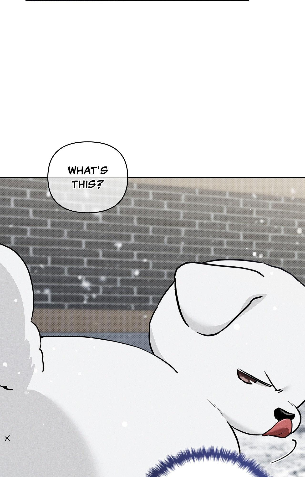 Paws & Claws - Chapter 35 manhwa