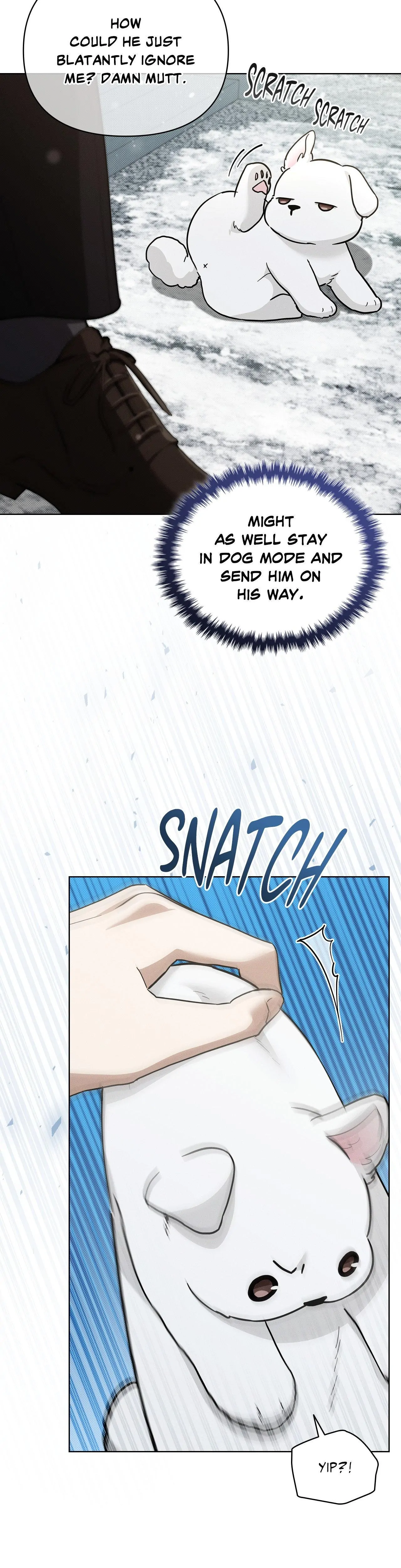 Paws & Claws - Chapter 36 manhwa