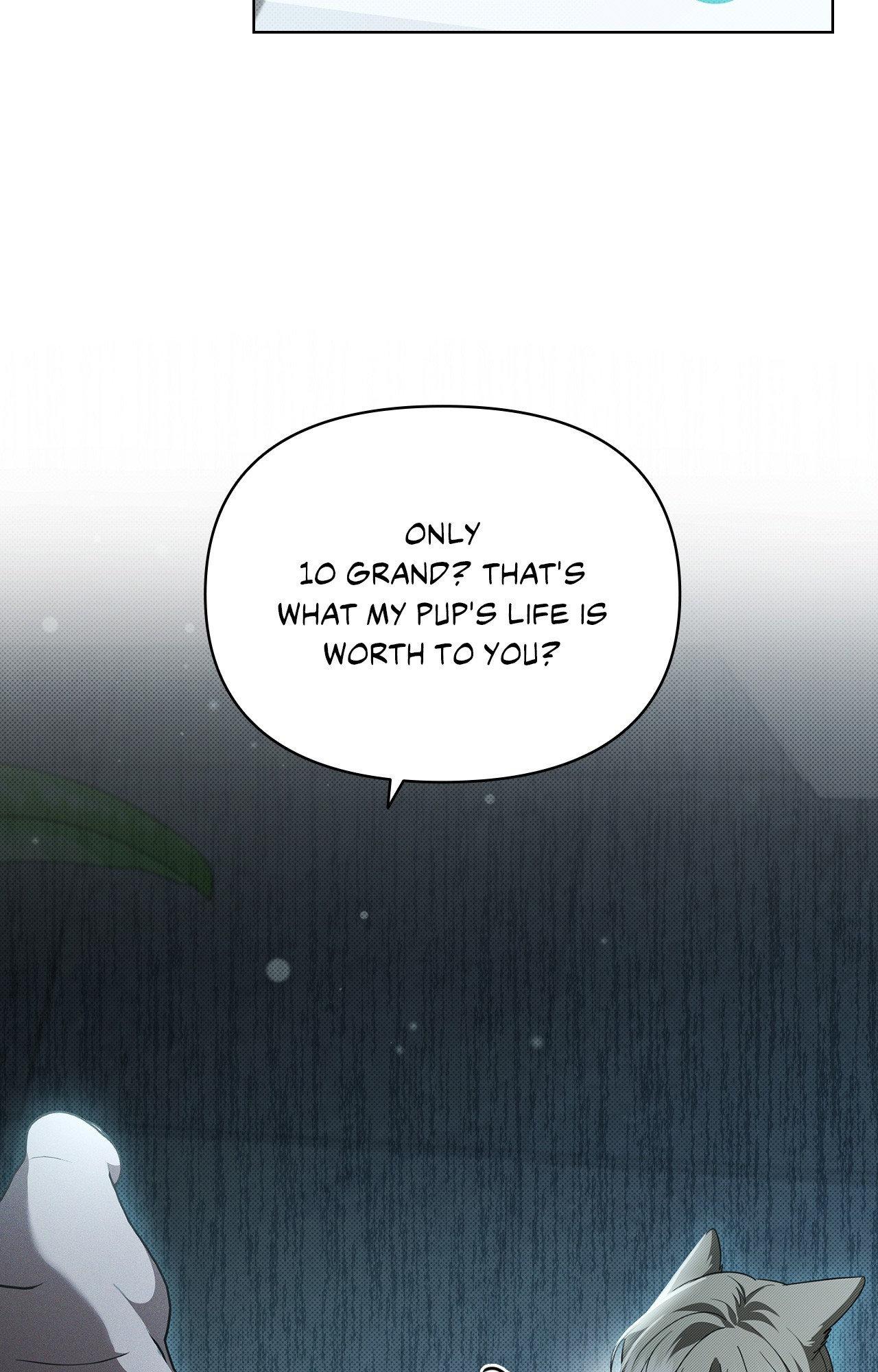 Paws & Claws - Chapter 37 manhwa