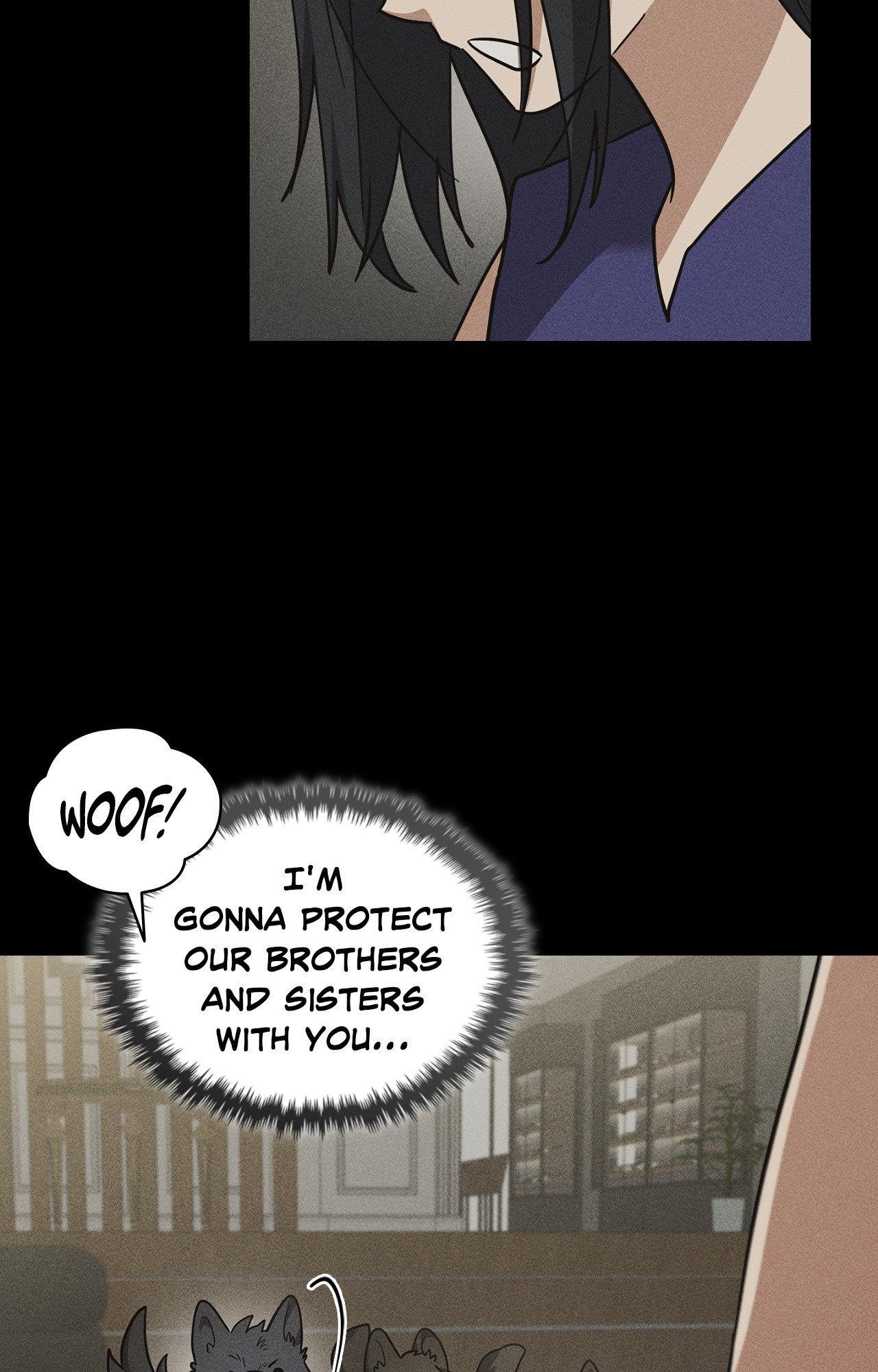 Paws & Claws - Chapter 38 manhwa
