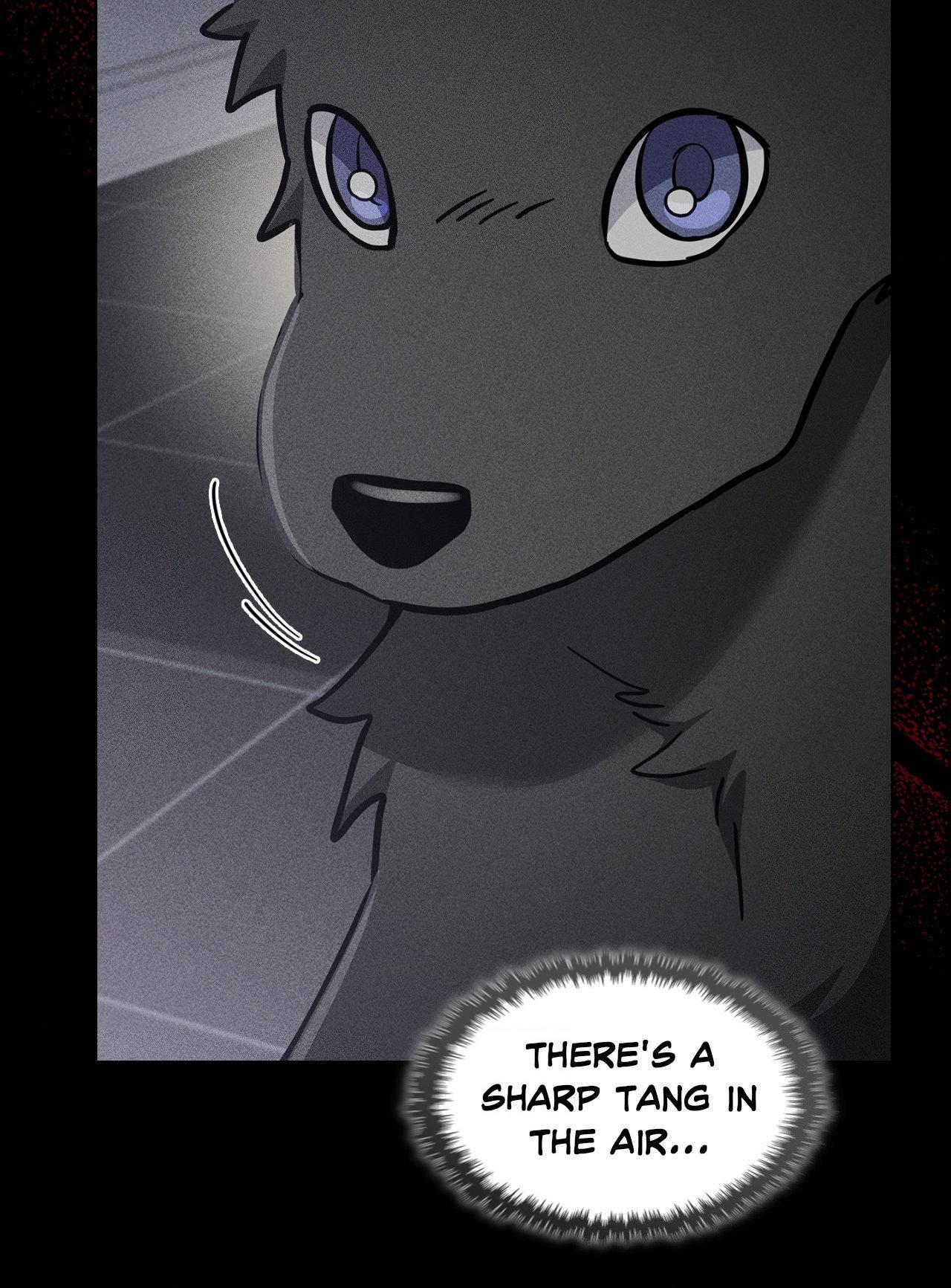 Paws & Claws - Chapter 38 manhwa