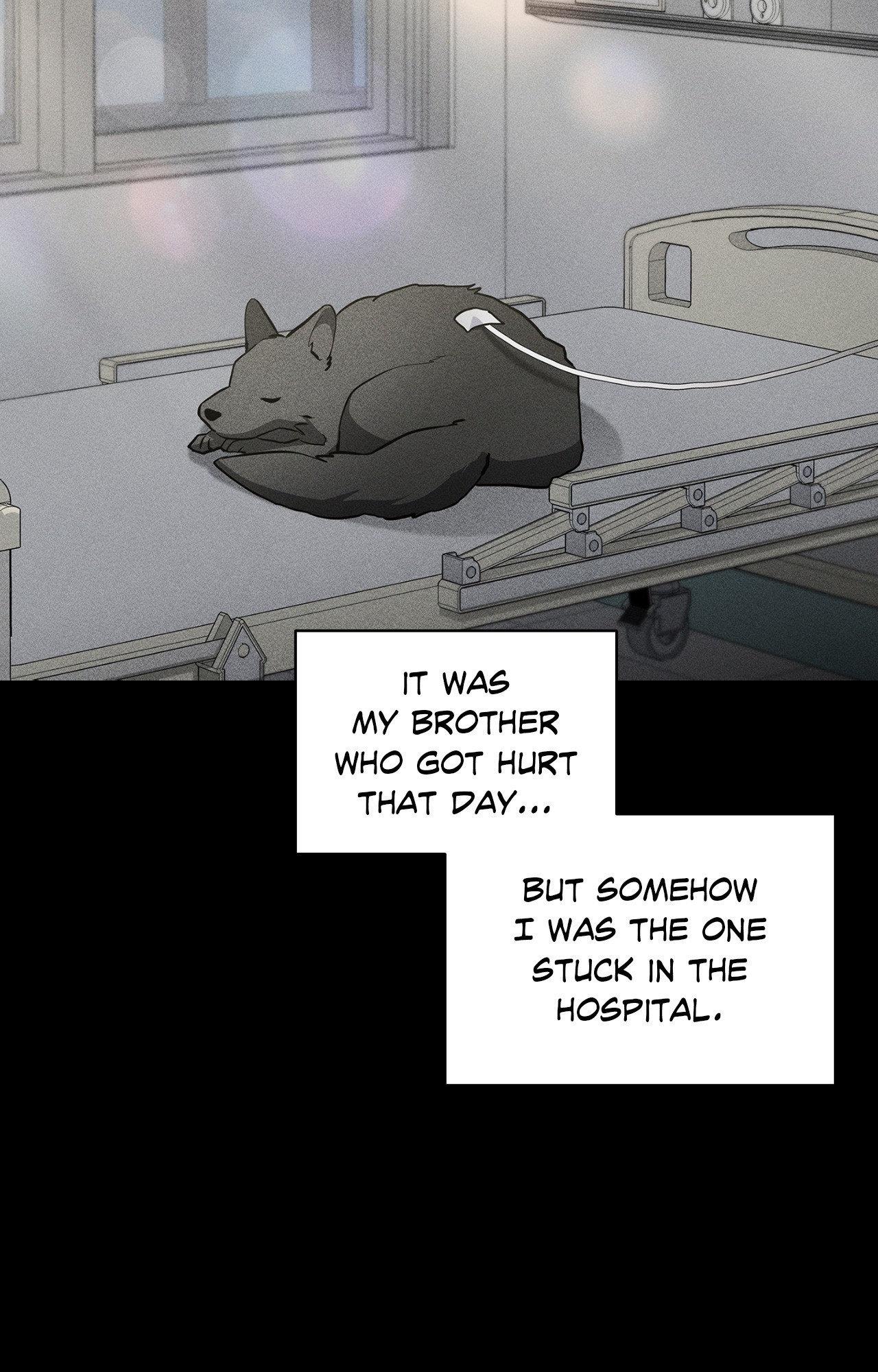 Paws & Claws - Chapter 38 manhwa