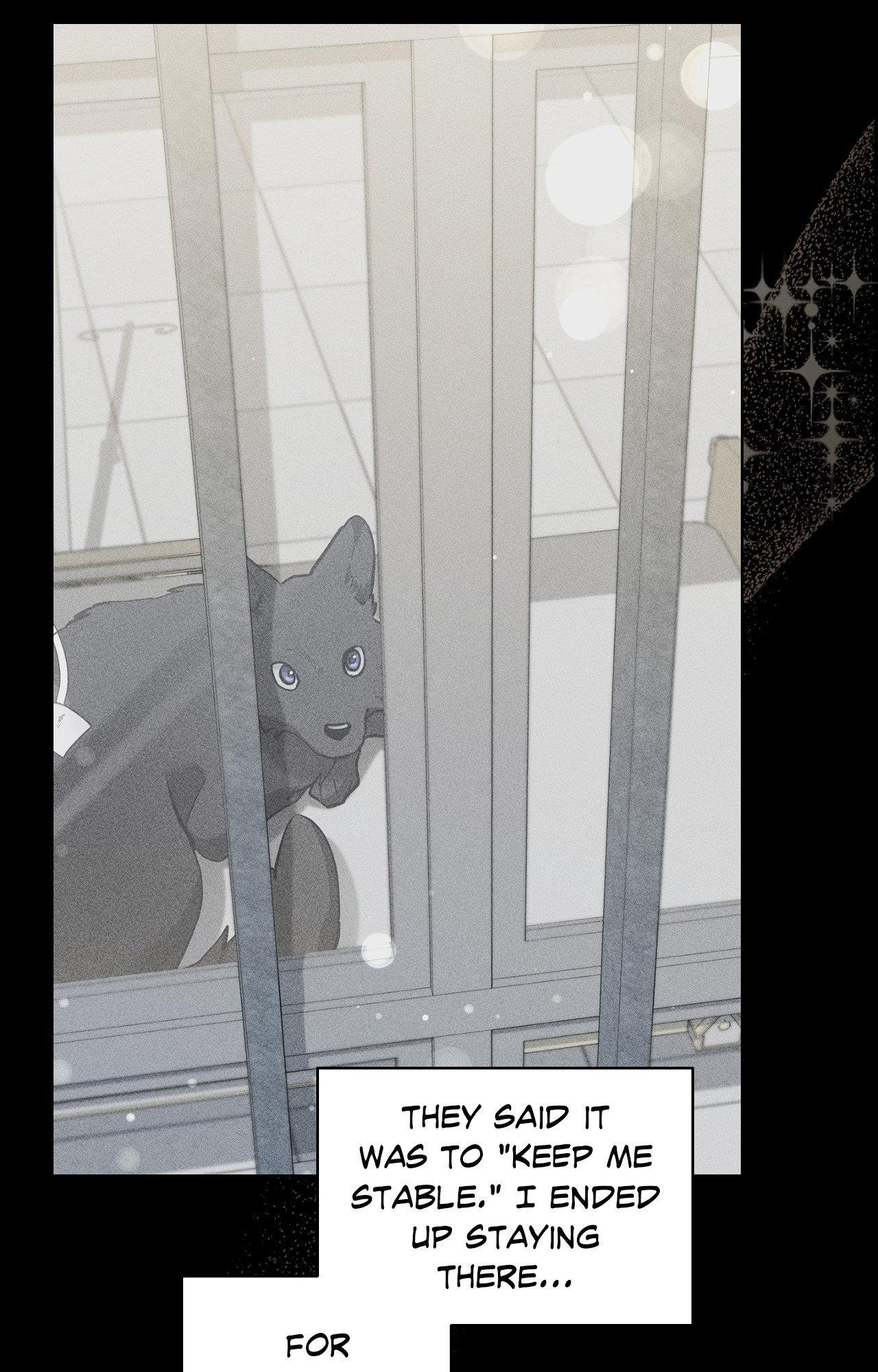 Paws & Claws - Chapter 38 manhwa