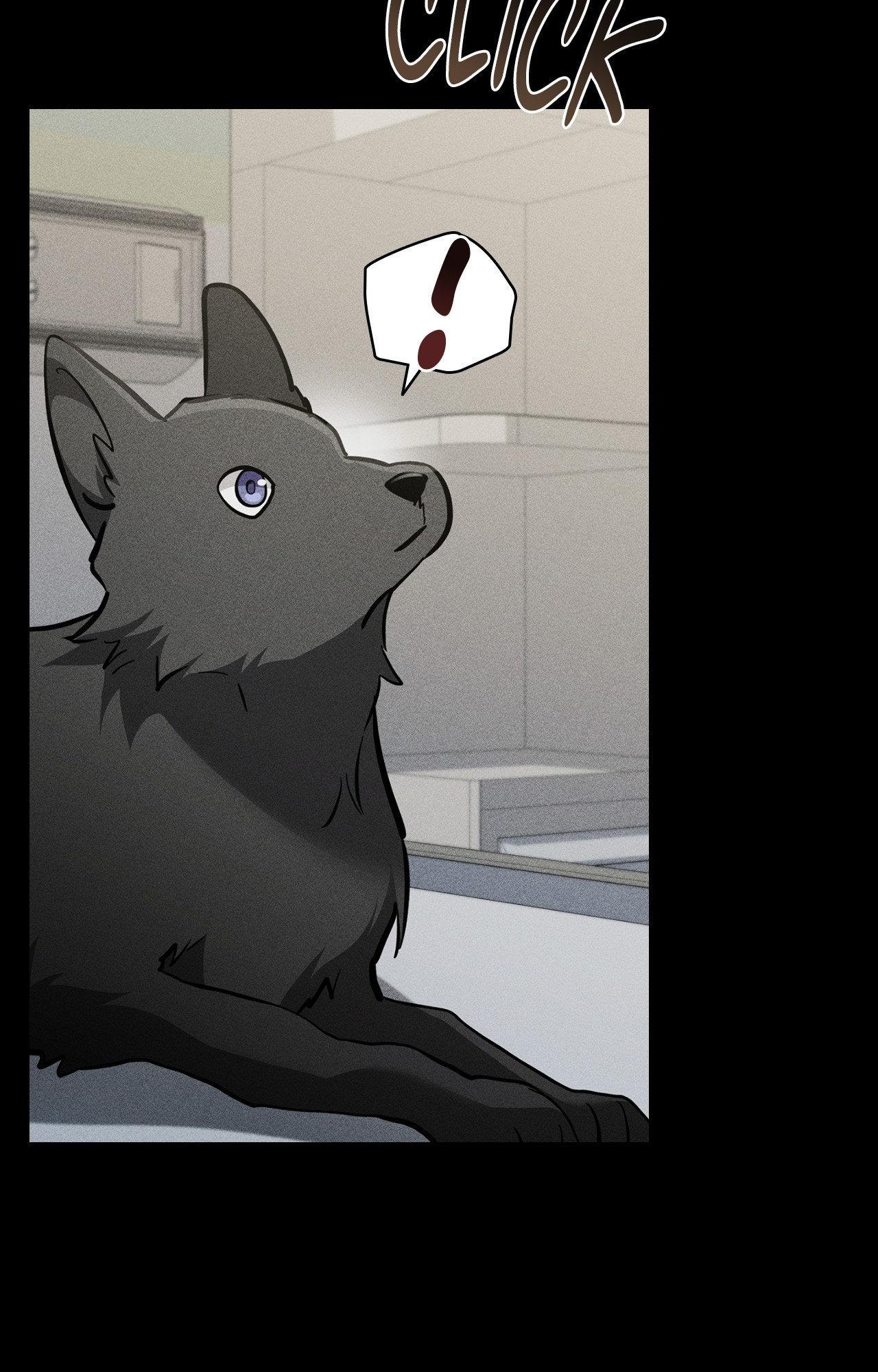 Paws & Claws - Chapter 38 manhwa