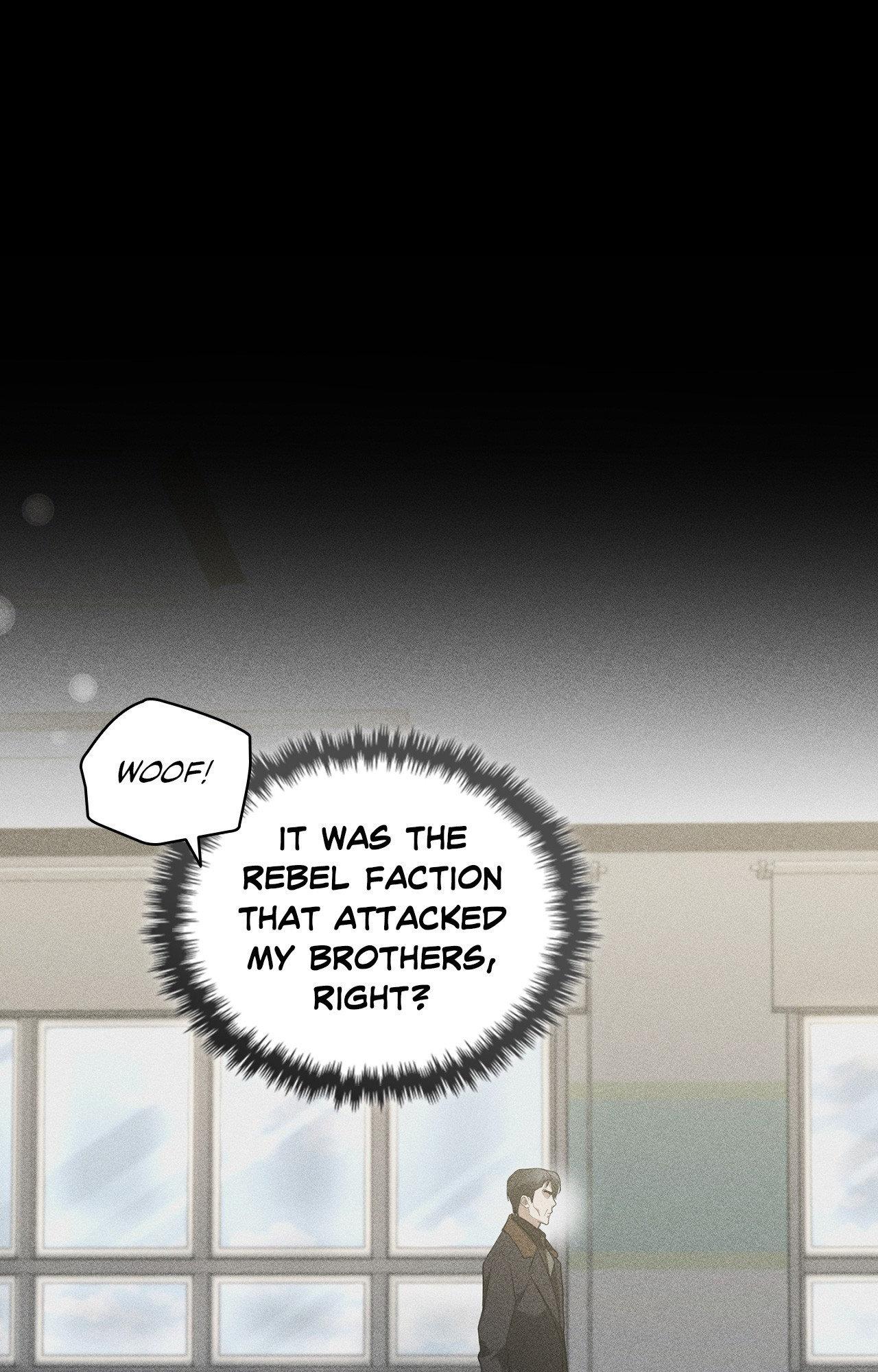 Paws & Claws - Chapter 38 manhwa