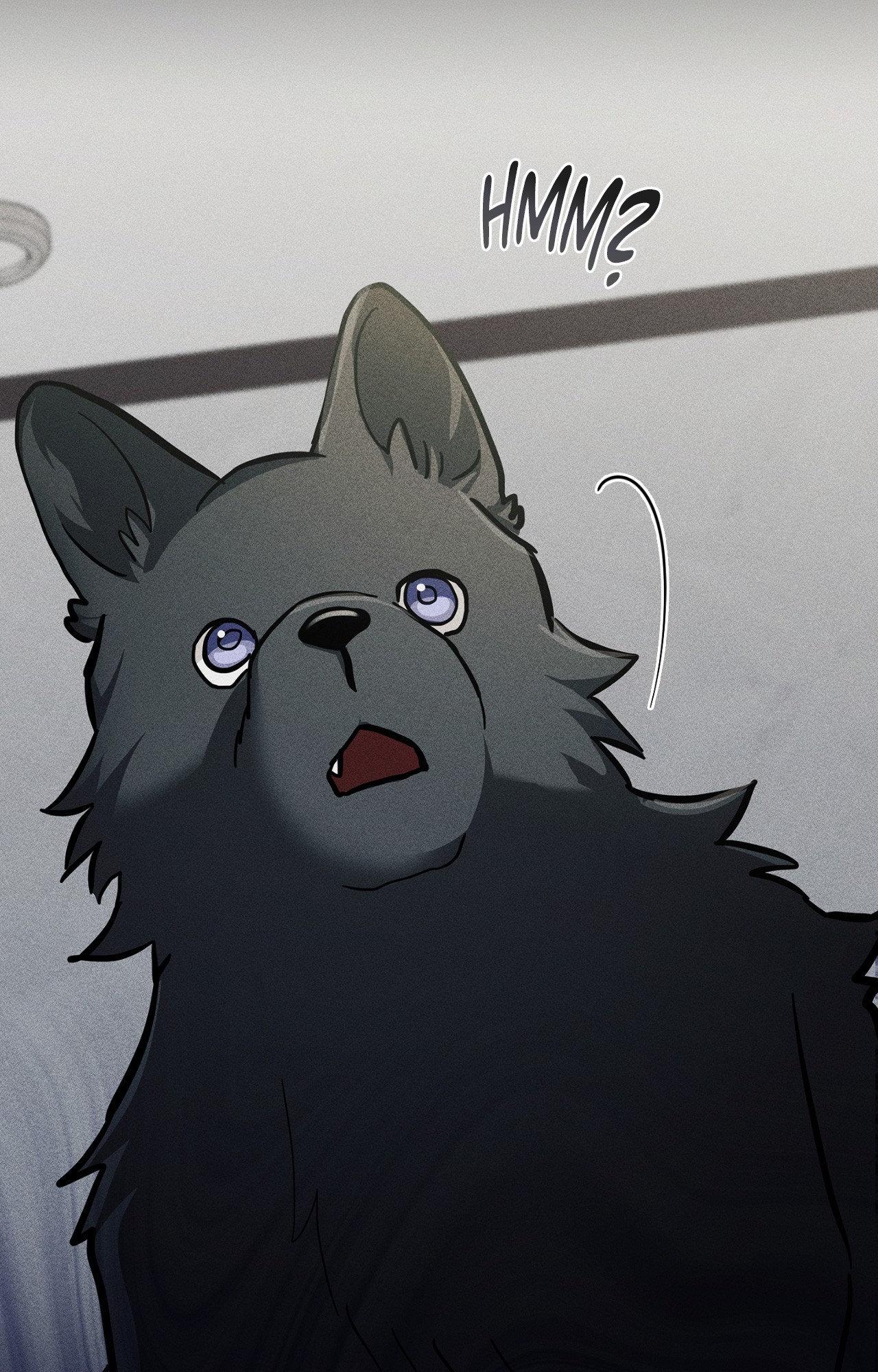 Paws & Claws - Chapter 38 manhwa