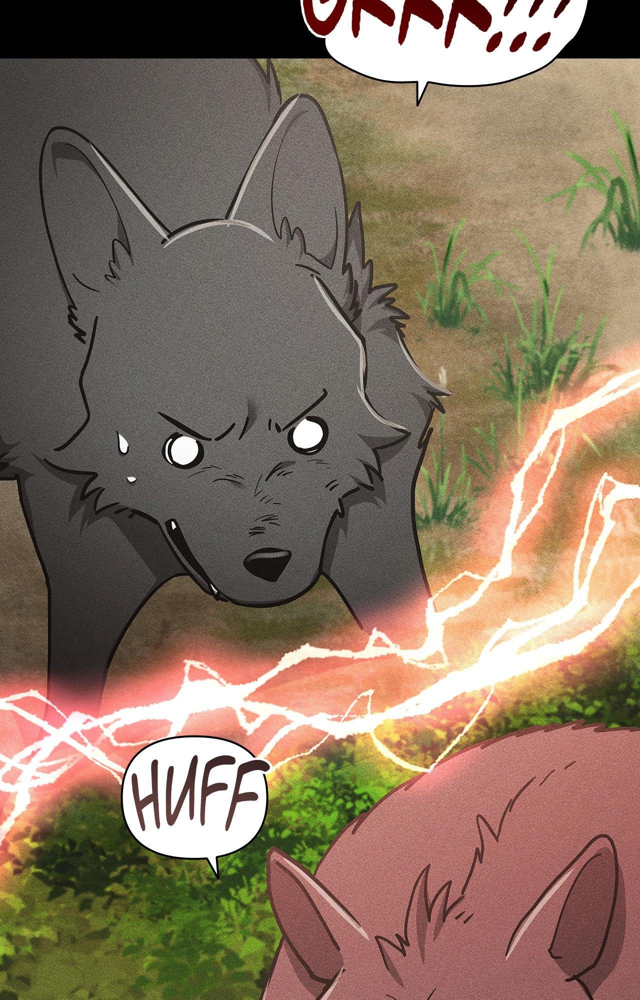 Paws & Claws - Chapter 39 manhwa