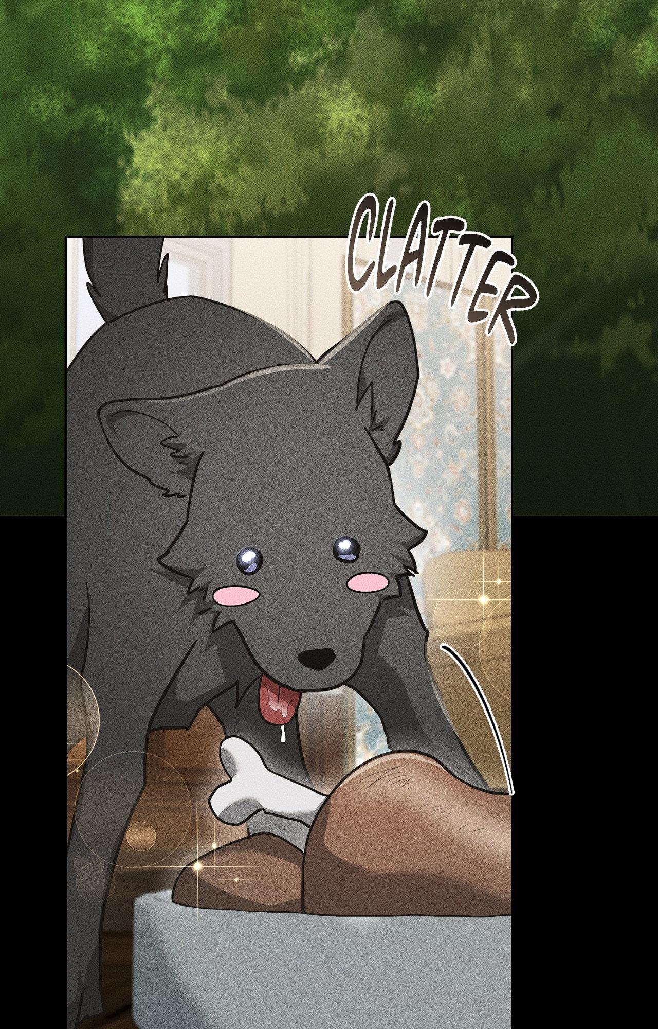 Paws & Claws - Chapter 39 manhwa