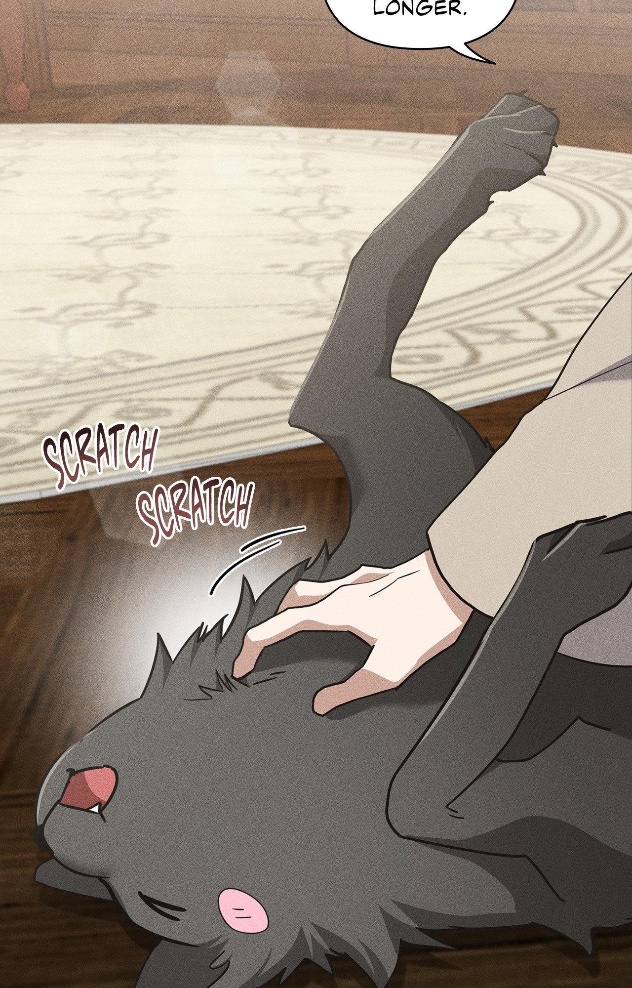 Paws & Claws - Chapter 39 manhwa