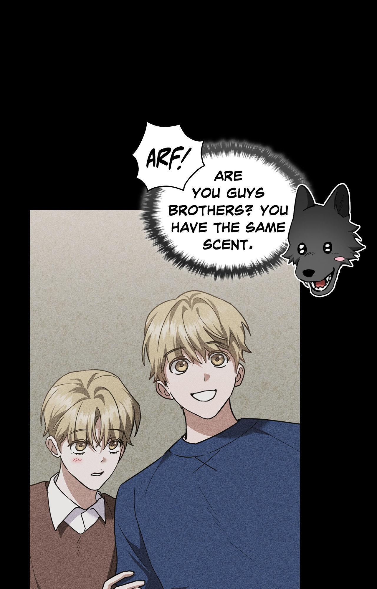Paws & Claws - Chapter 39 manhwa