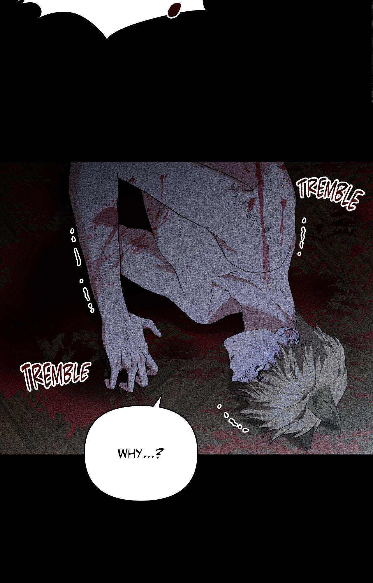 Paws & Claws - Chapter 39 manhwa