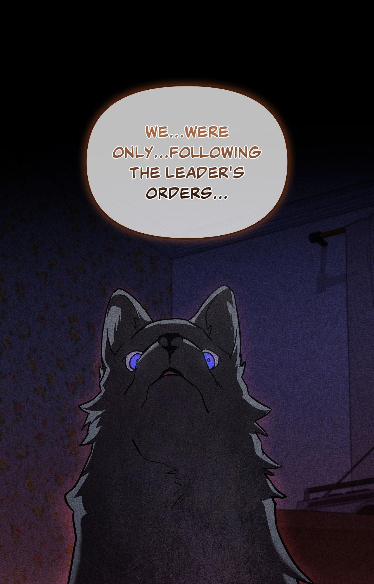 Paws & Claws - Chapter 39 manhwa