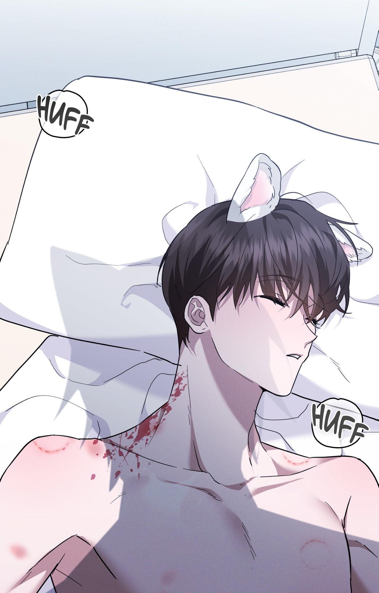 Paws & Claws - Chapter 39 manhwa