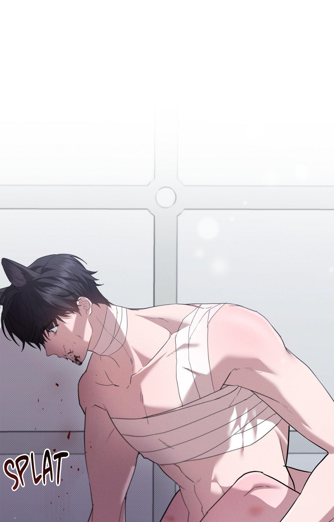 Paws & Claws - Chapter 39 manhwa