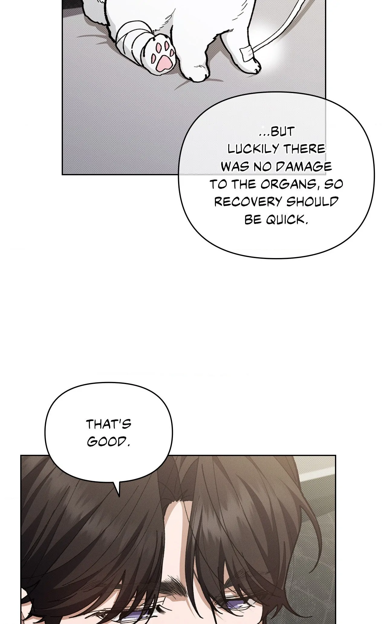 Paws & Claws - Chapter 4 manhwa