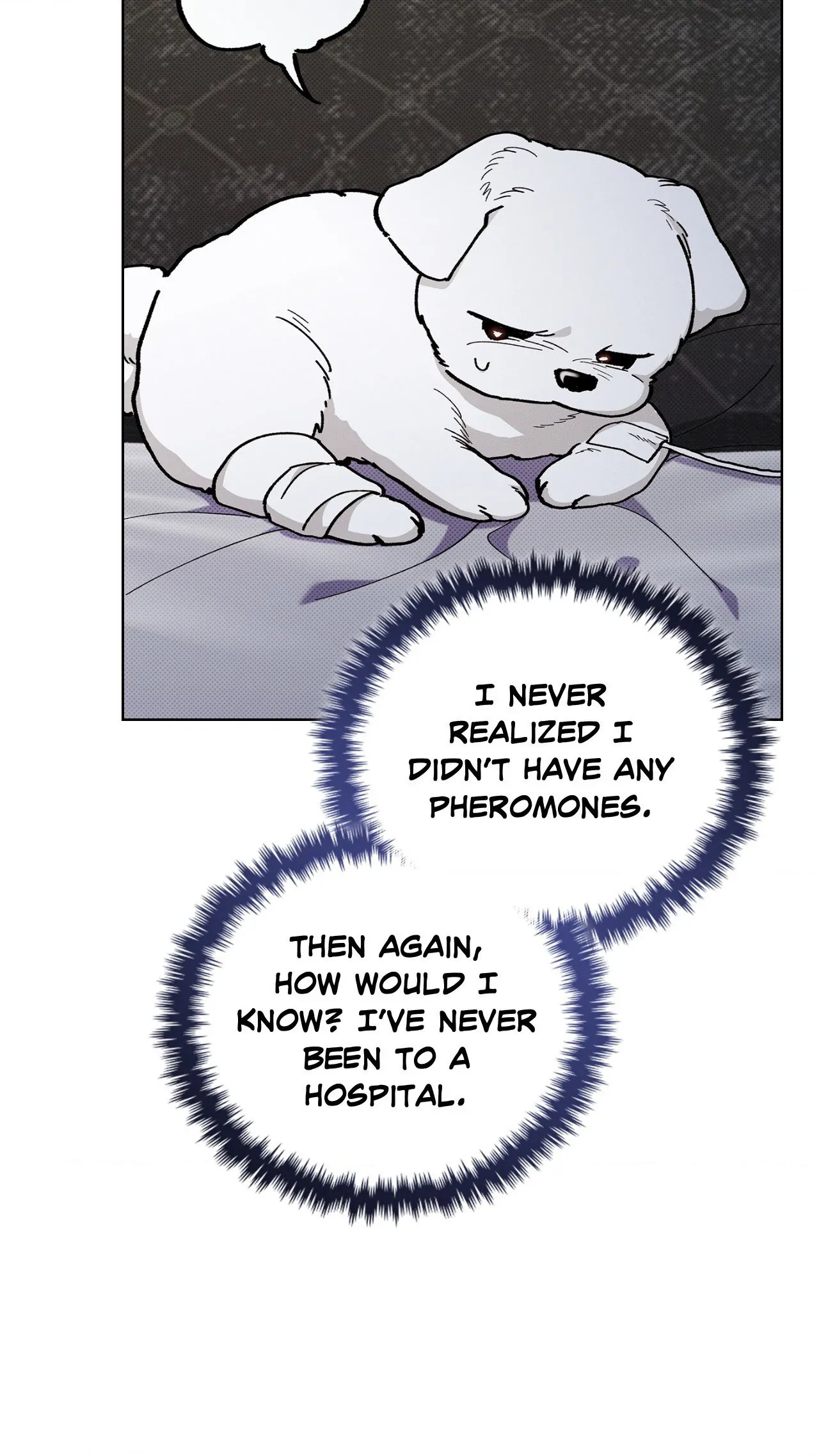 Paws & Claws - Chapter 4 manhwa