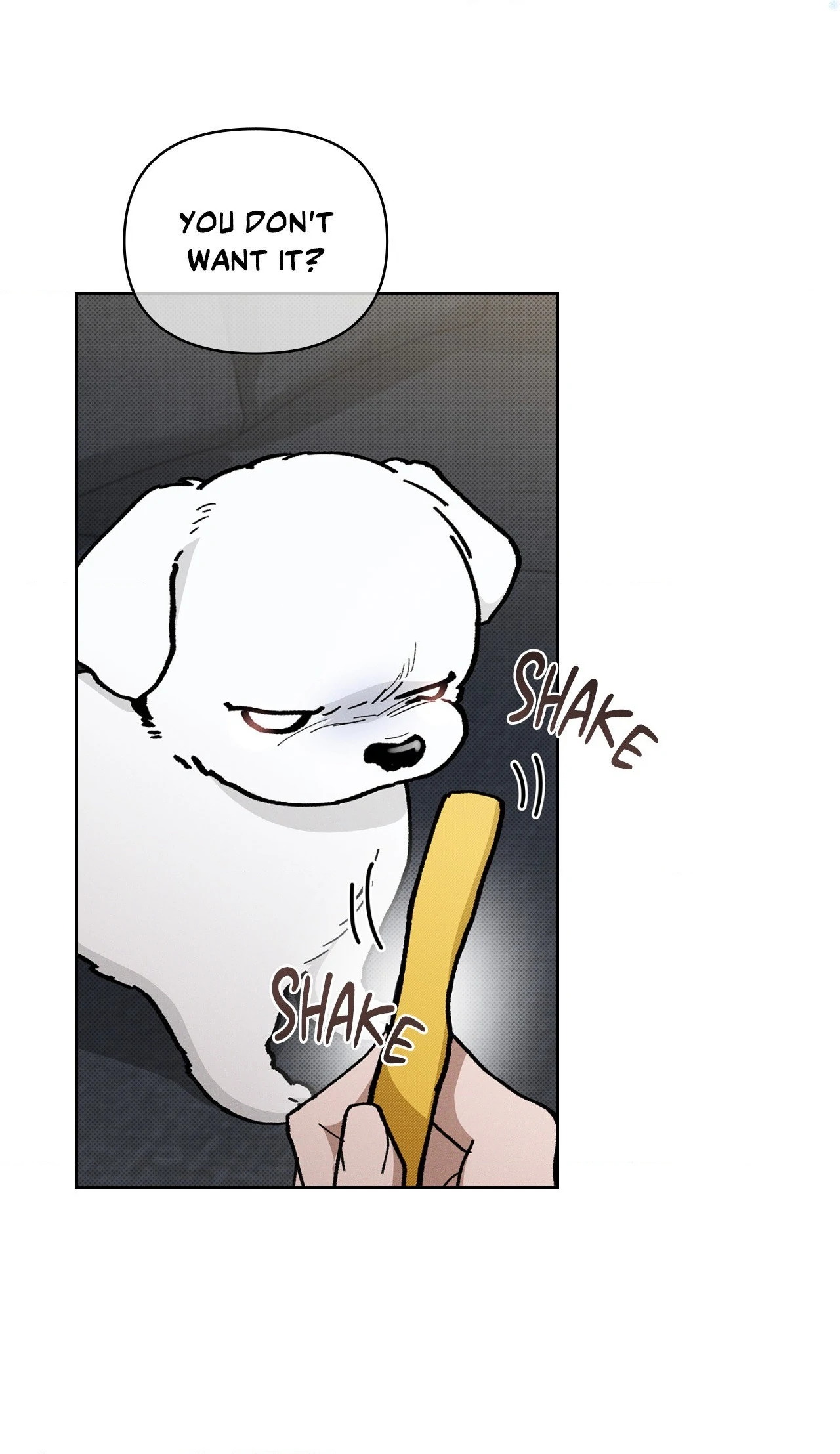 Paws & Claws - Chapter 4 manhwa