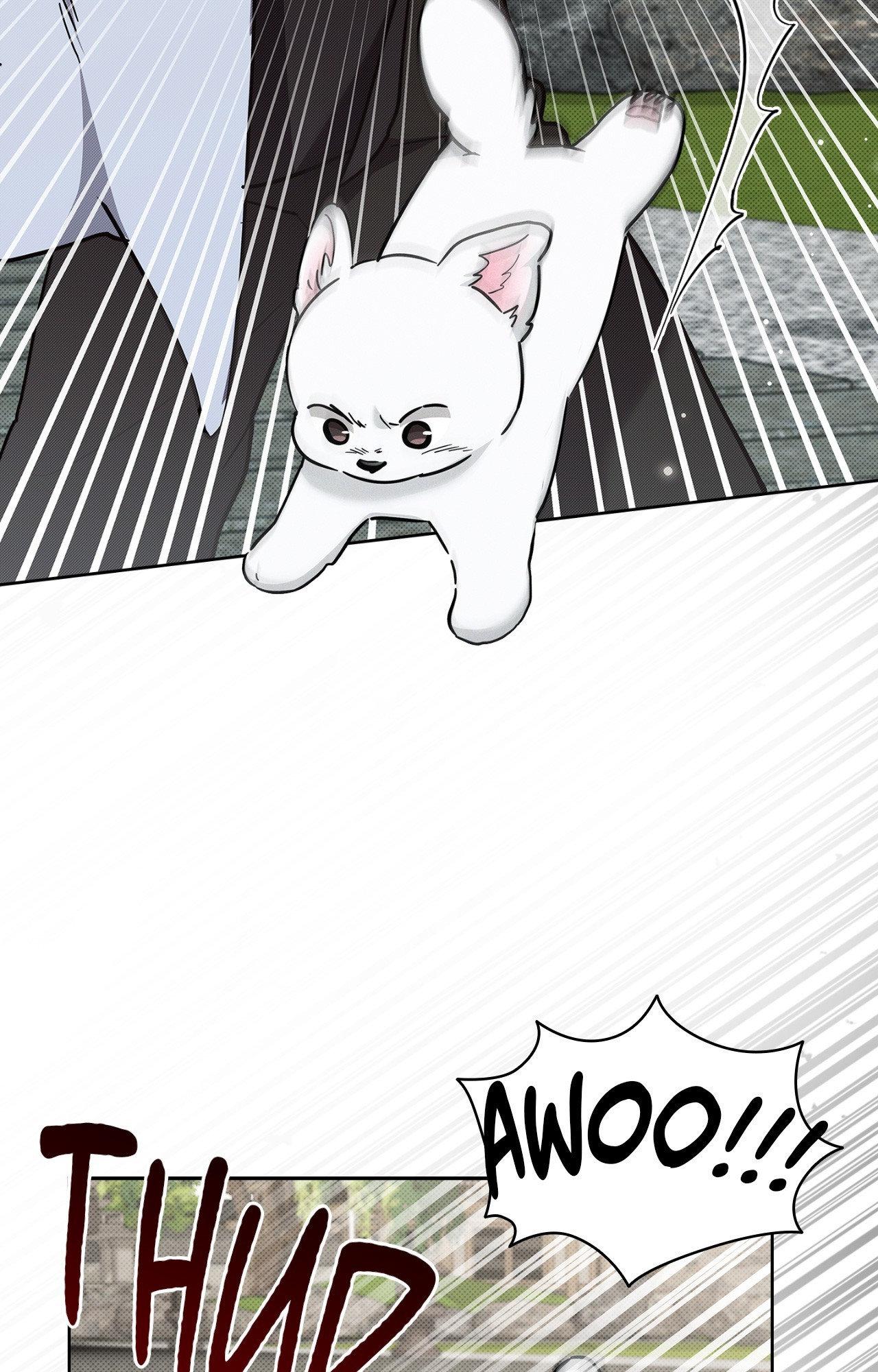 Paws & Claws - Chapter 40 manhwa