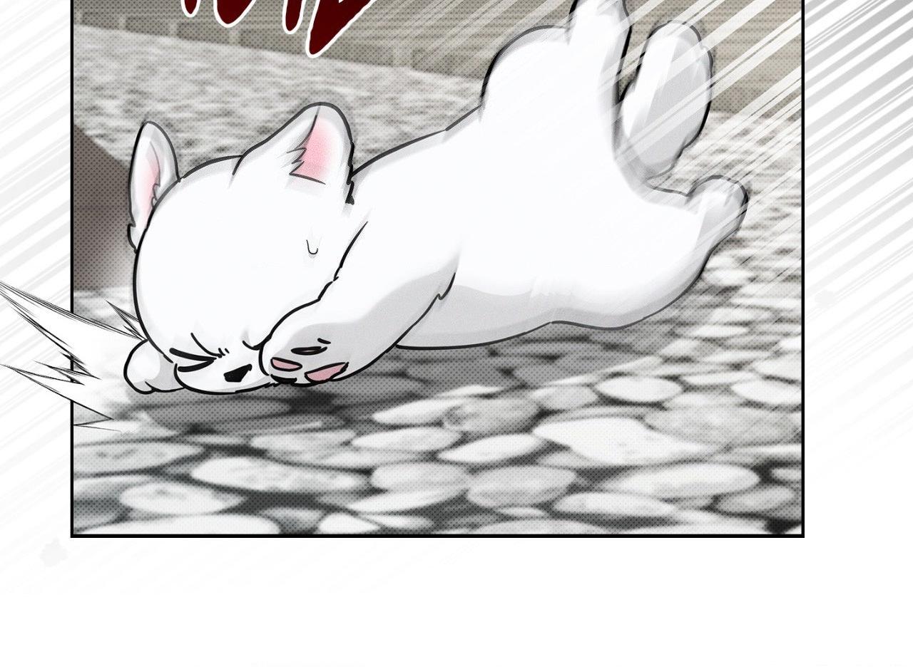 Paws & Claws - Chapter 40 manhwa