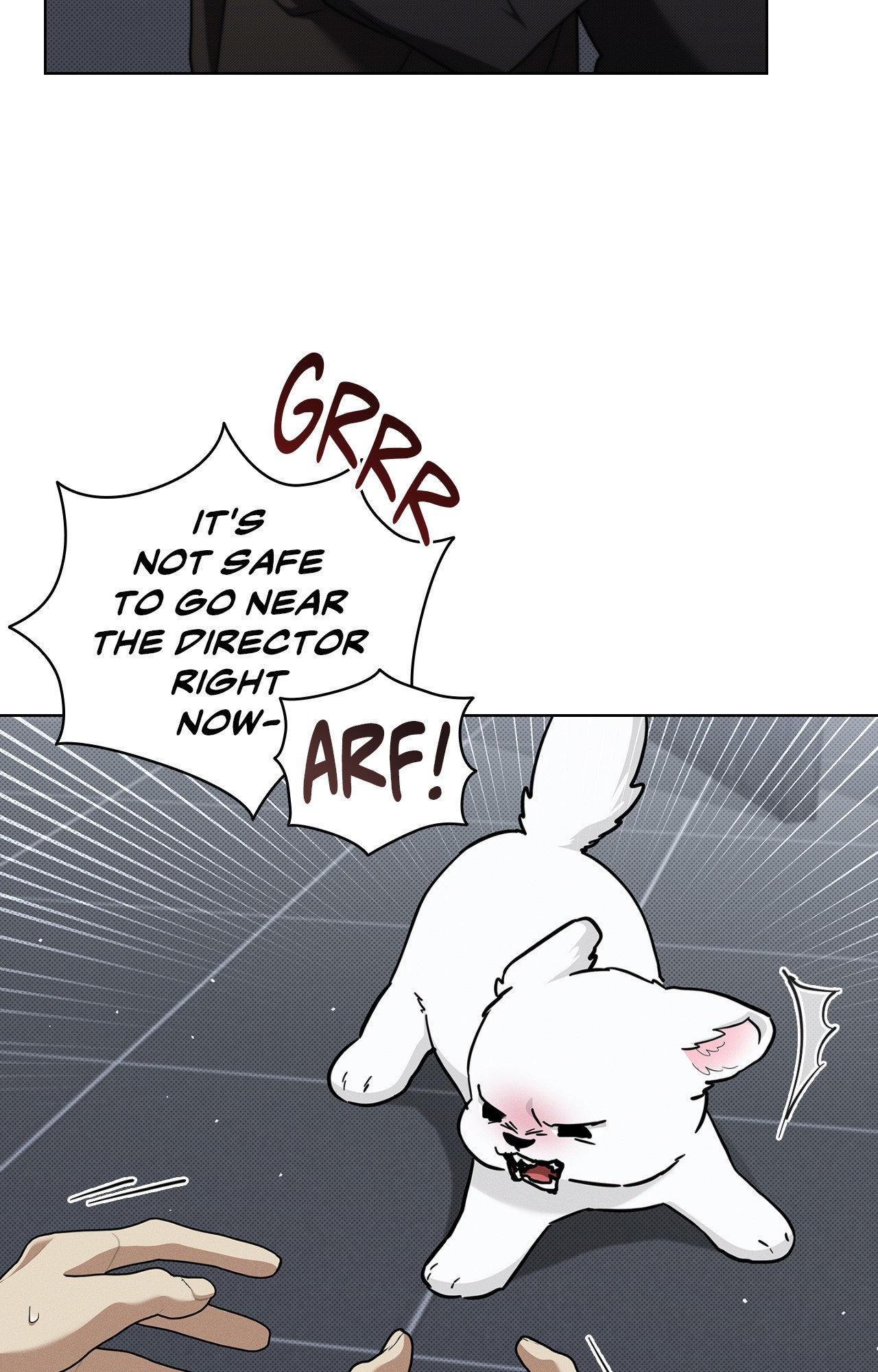 Paws & Claws - Chapter 40 manhwa