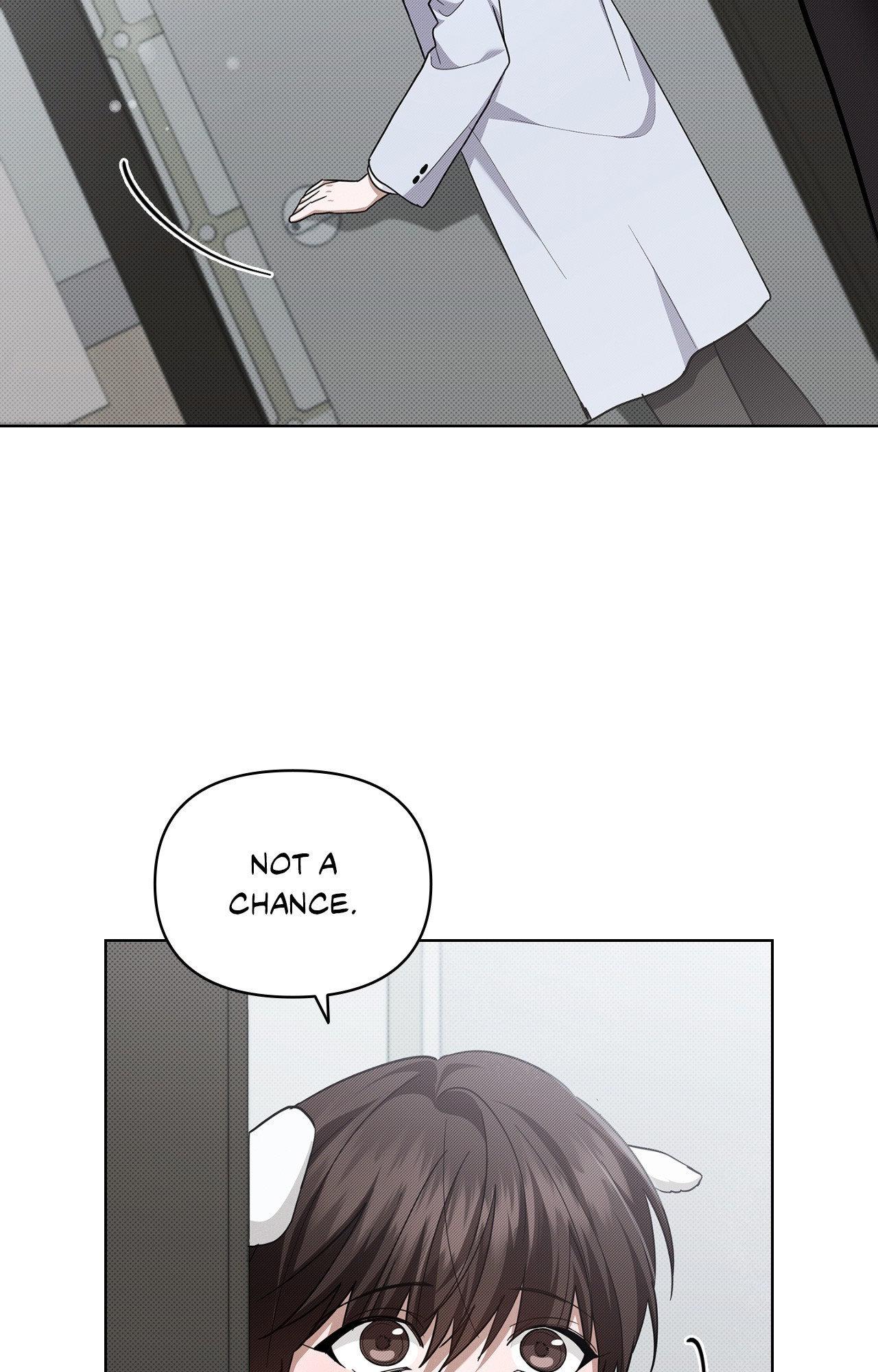 Paws & Claws - Chapter 40 manhwa