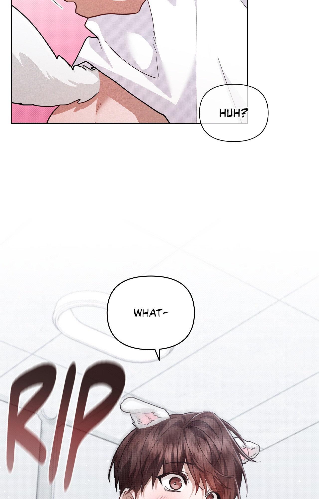 Paws & Claws - Chapter 41 manhwa