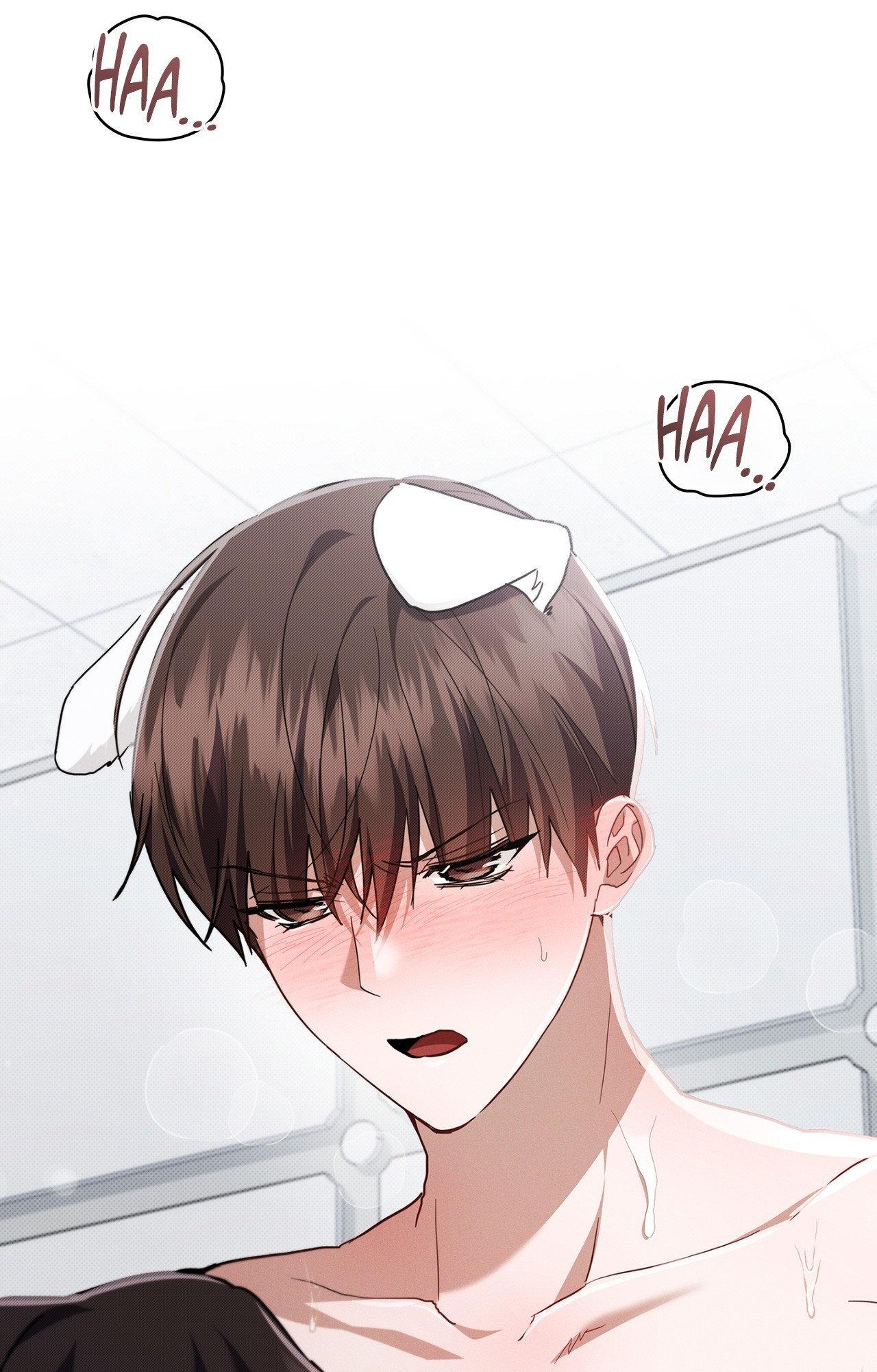 Paws & Claws - Chapter 41 manhwa