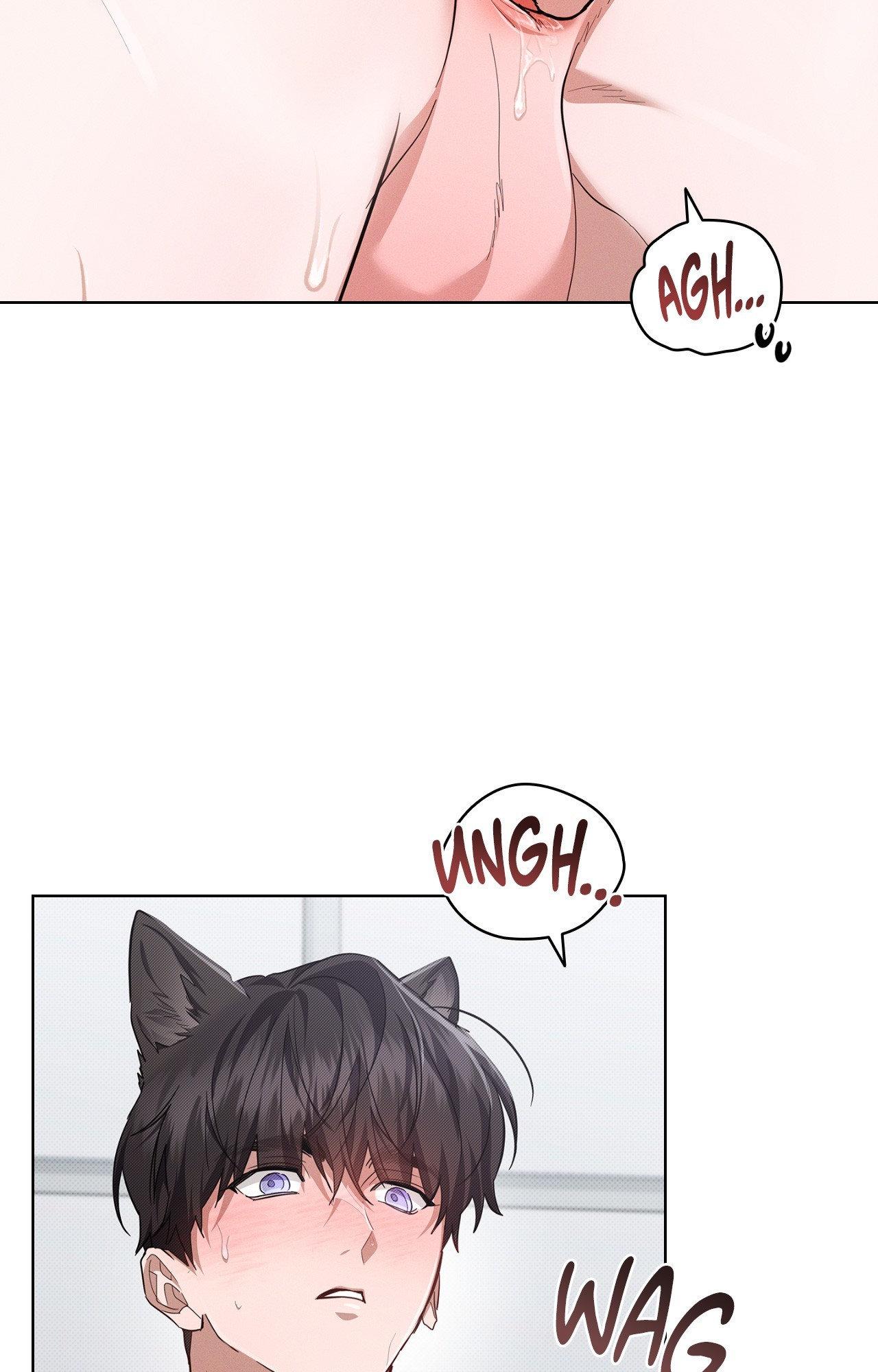 Paws & Claws - Chapter 41 manhwa