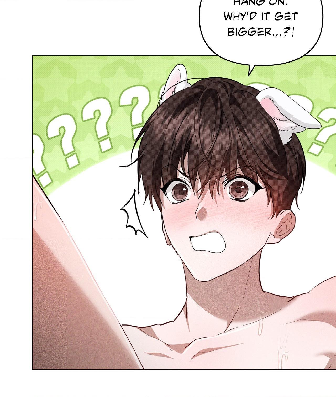 Paws & Claws - Chapter 41 manhwa