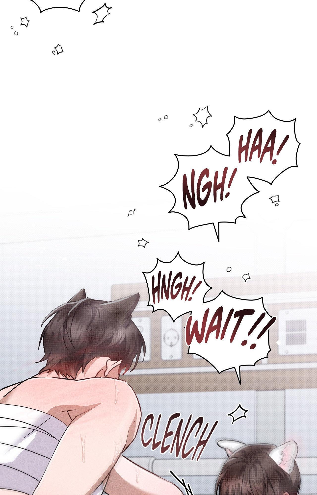 Paws & Claws - Chapter 41 manhwa