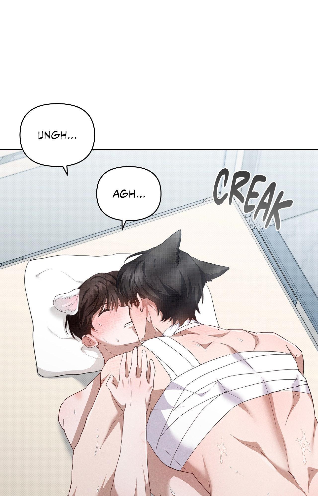 Paws & Claws - Chapter 42 manhwa