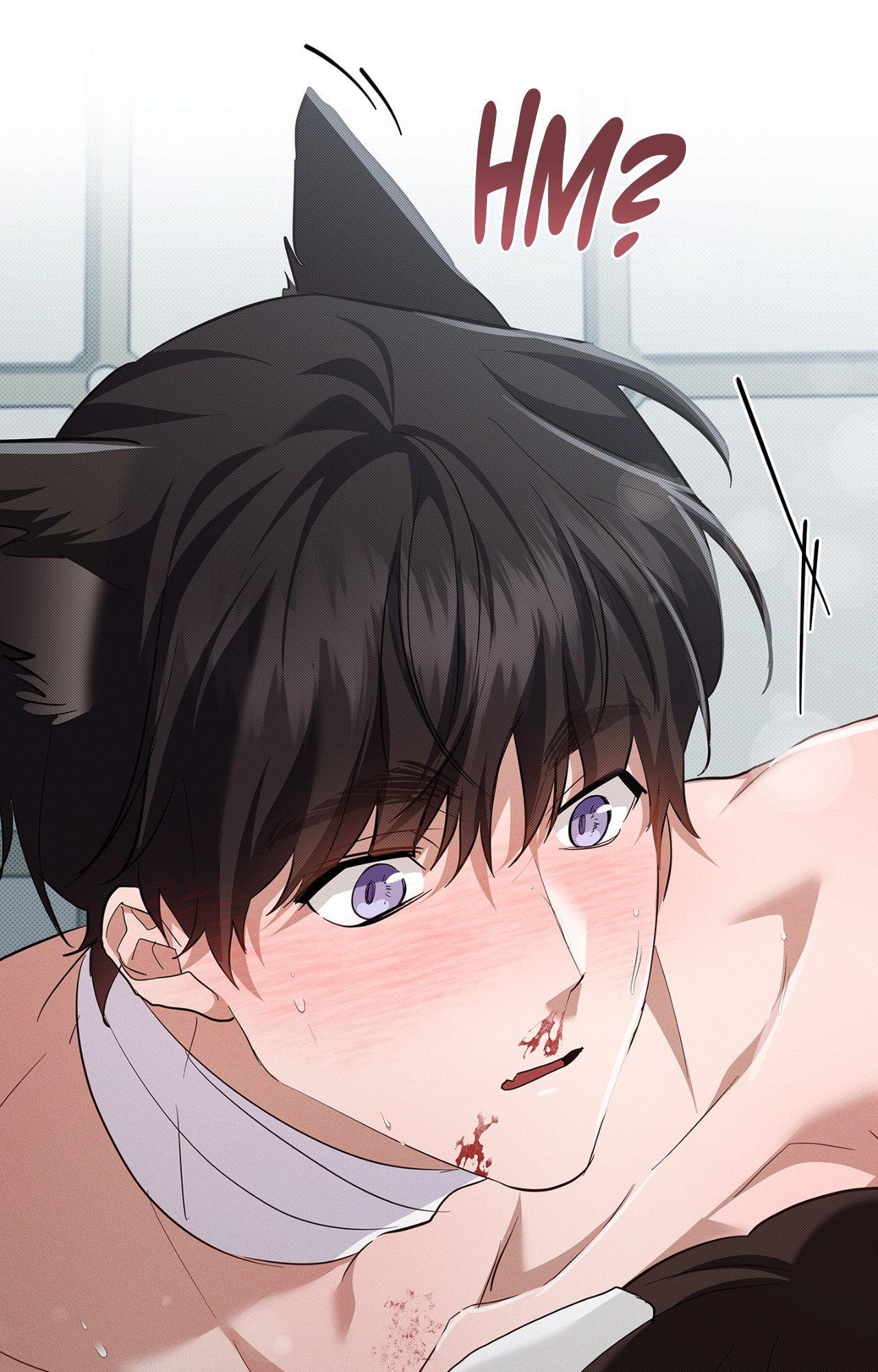 Paws & Claws - Chapter 42 manhwa