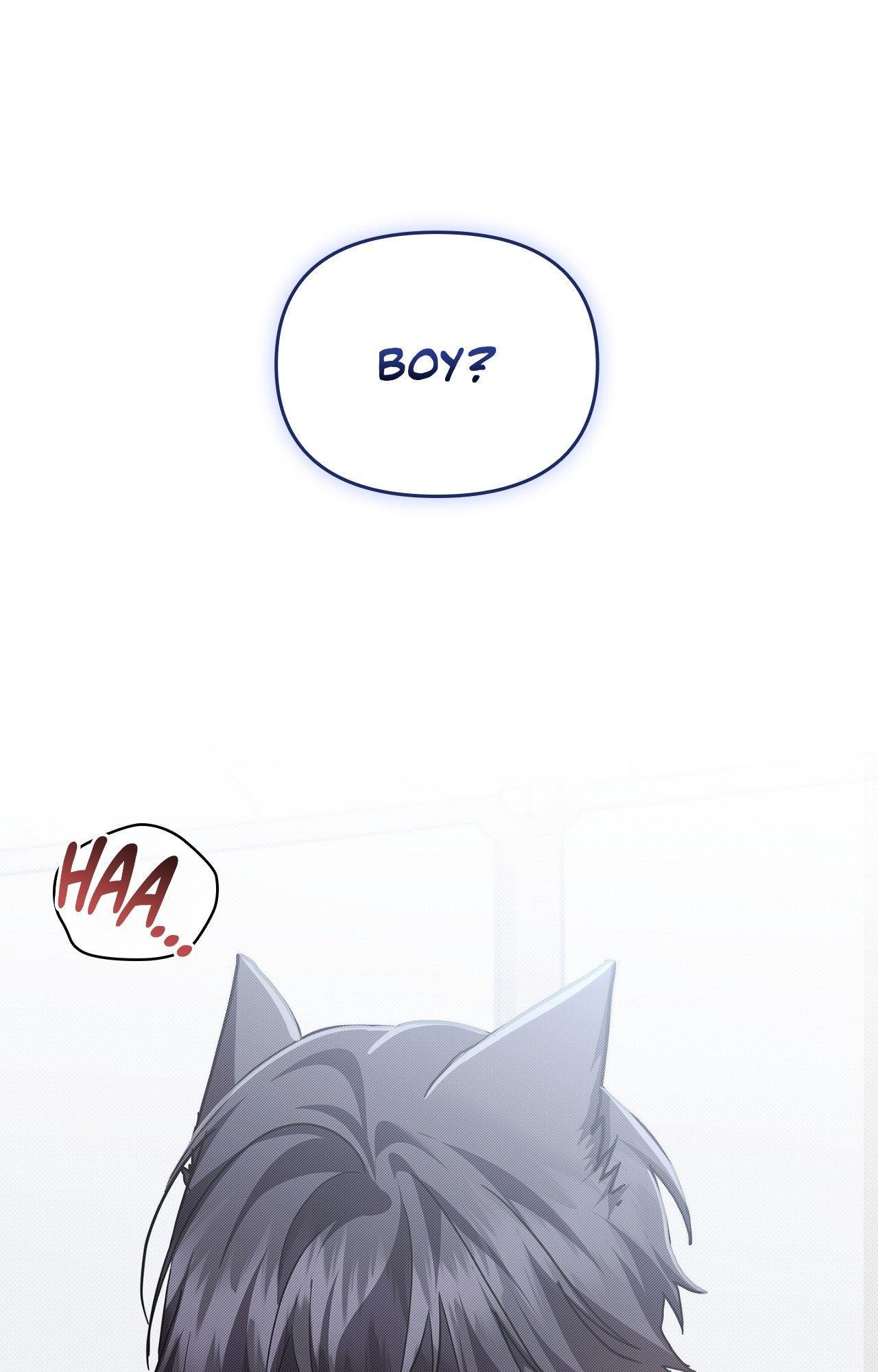 Paws & Claws - Chapter 43 manhwa