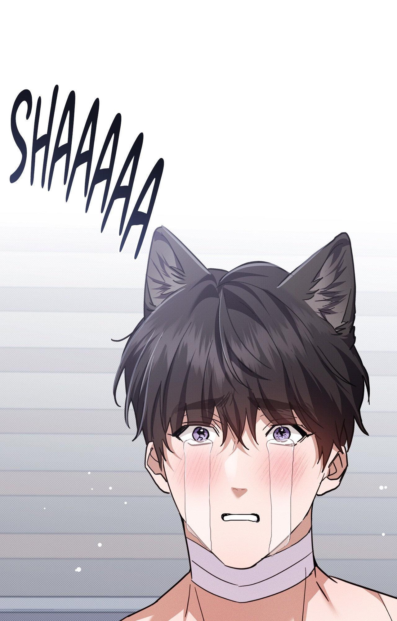 Paws & Claws - Chapter 43 manhwa