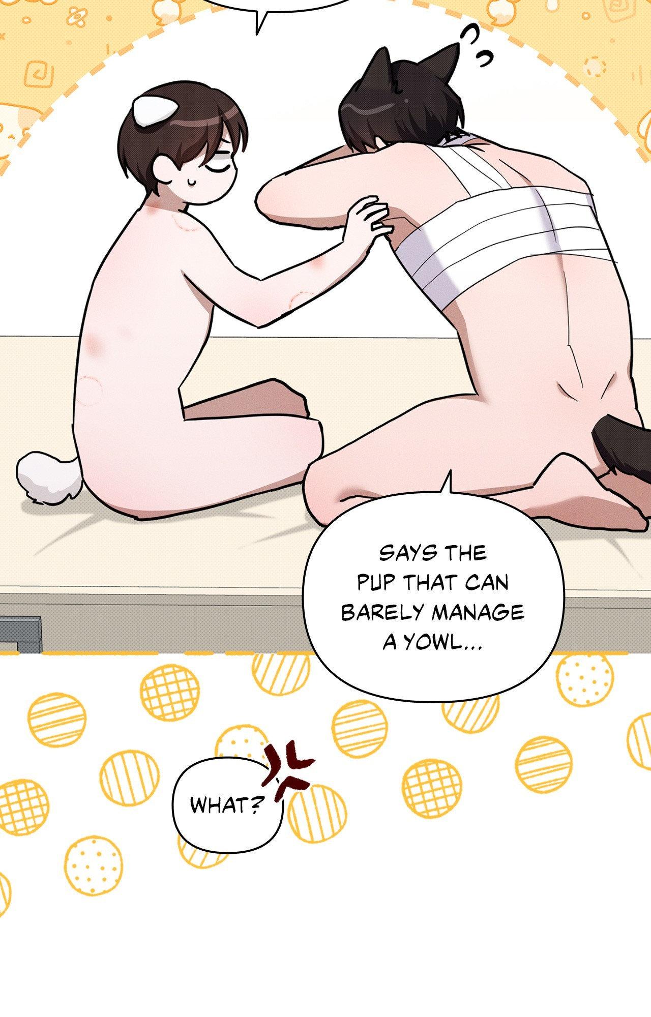 Paws & Claws - Chapter 43 manhwa