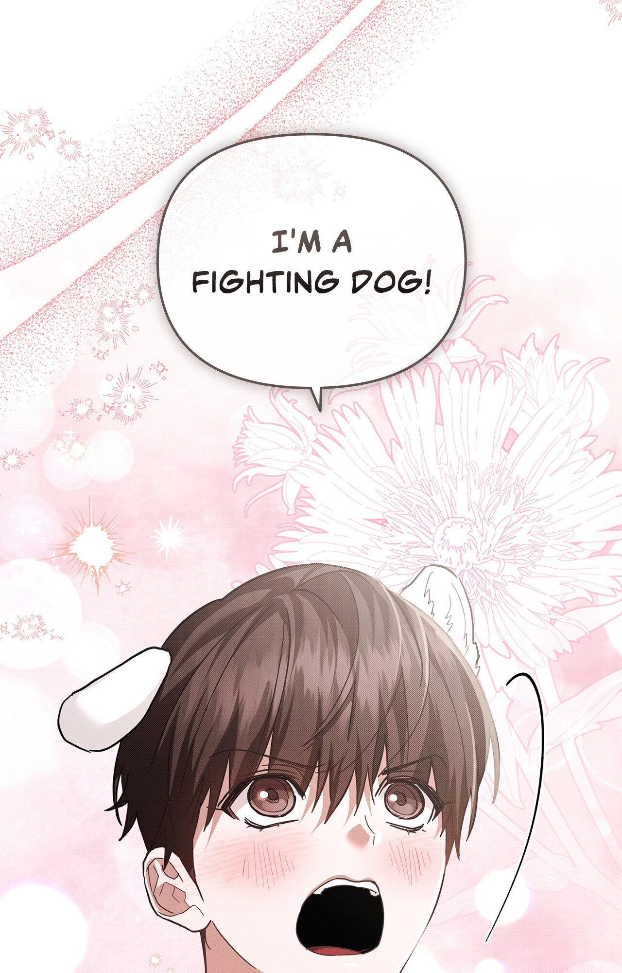 Paws & Claws - Chapter 43 manhwa