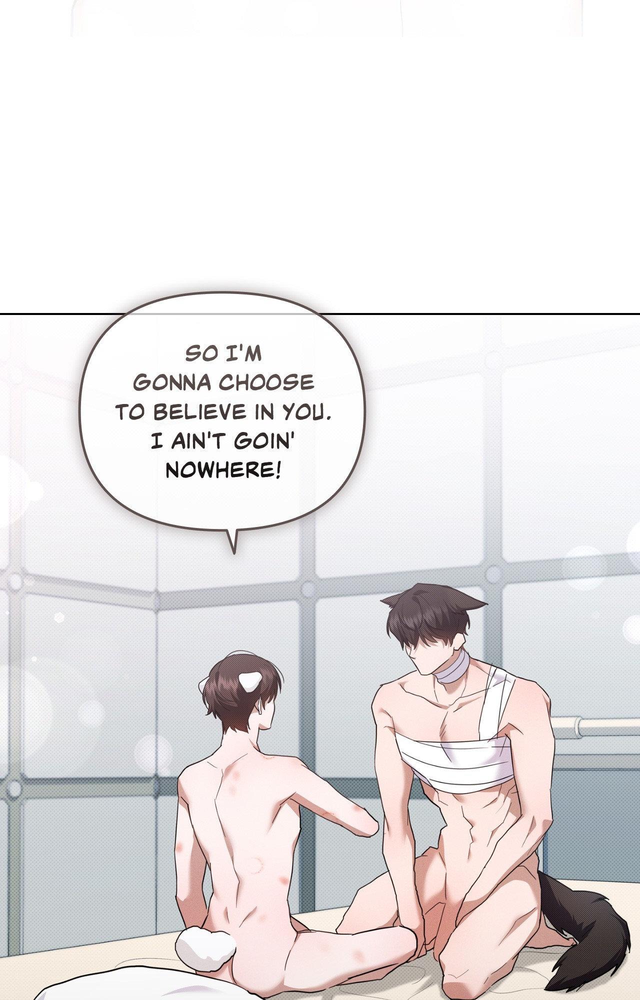 Paws & Claws - Chapter 43 manhwa