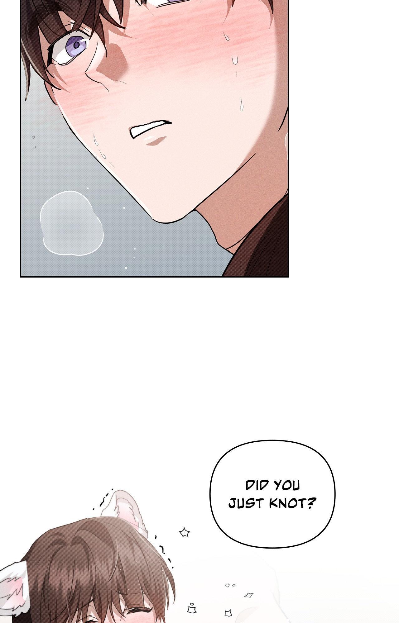Paws & Claws - Chapter 44 manhwa