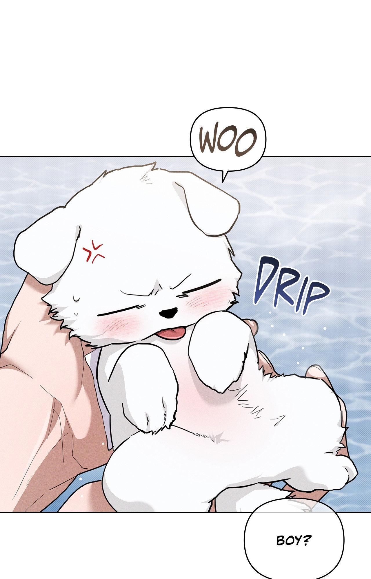 Paws & Claws - Chapter 44 manhwa