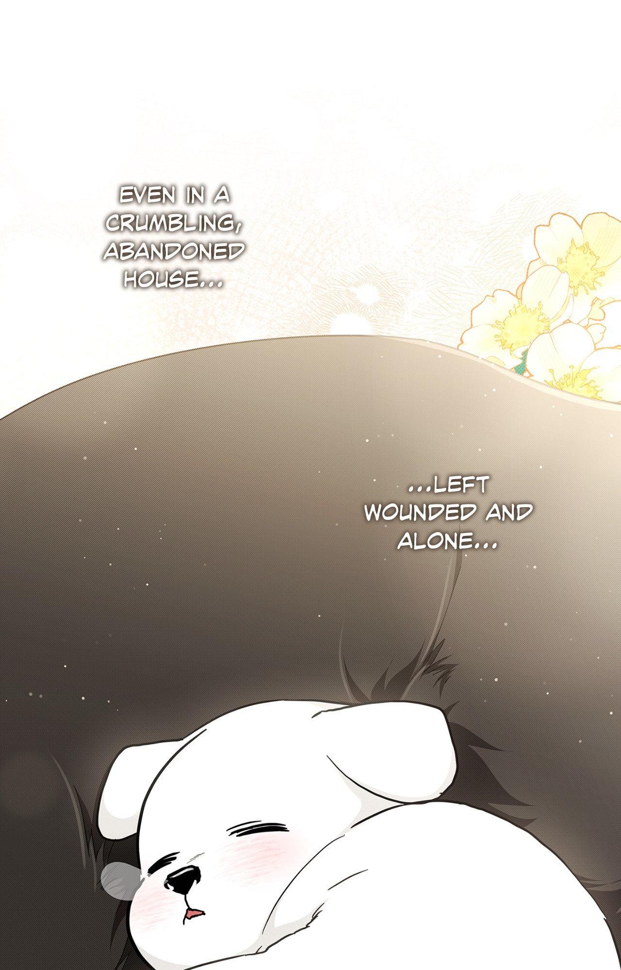 Paws & Claws - Chapter 44 manhwa