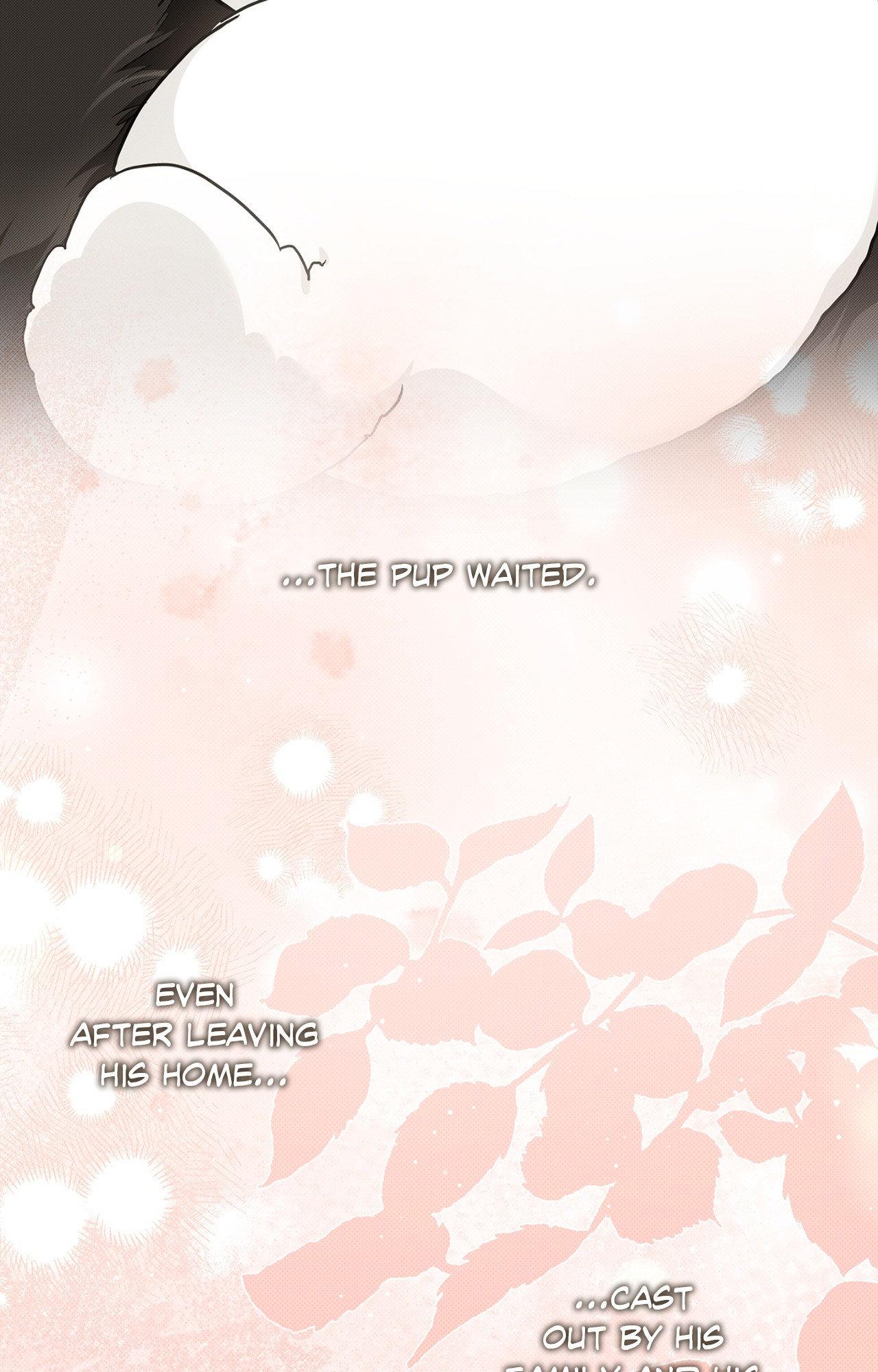 Paws & Claws - Chapter 44 manhwa