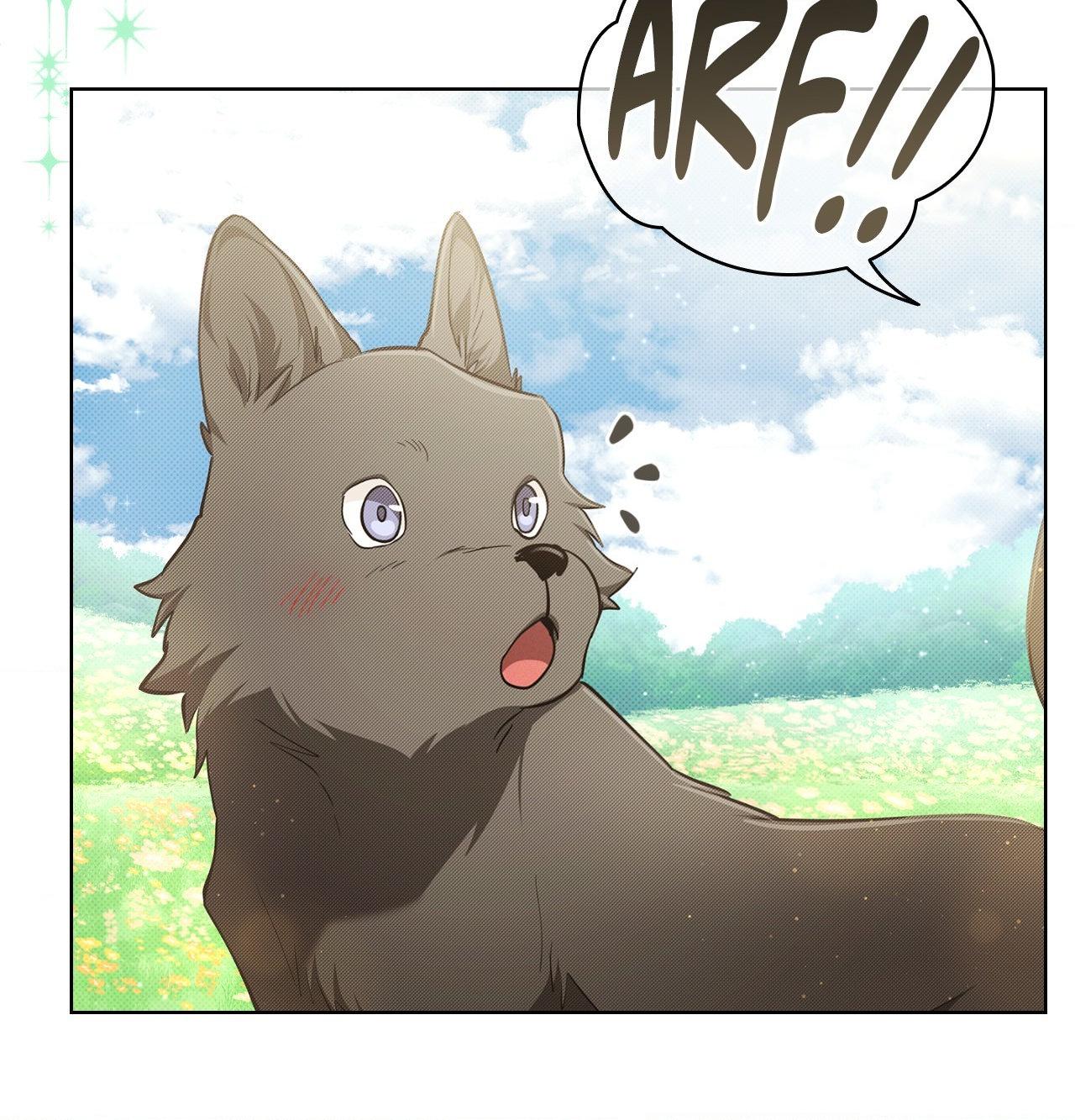 Paws & Claws - Chapter 44 manhwa