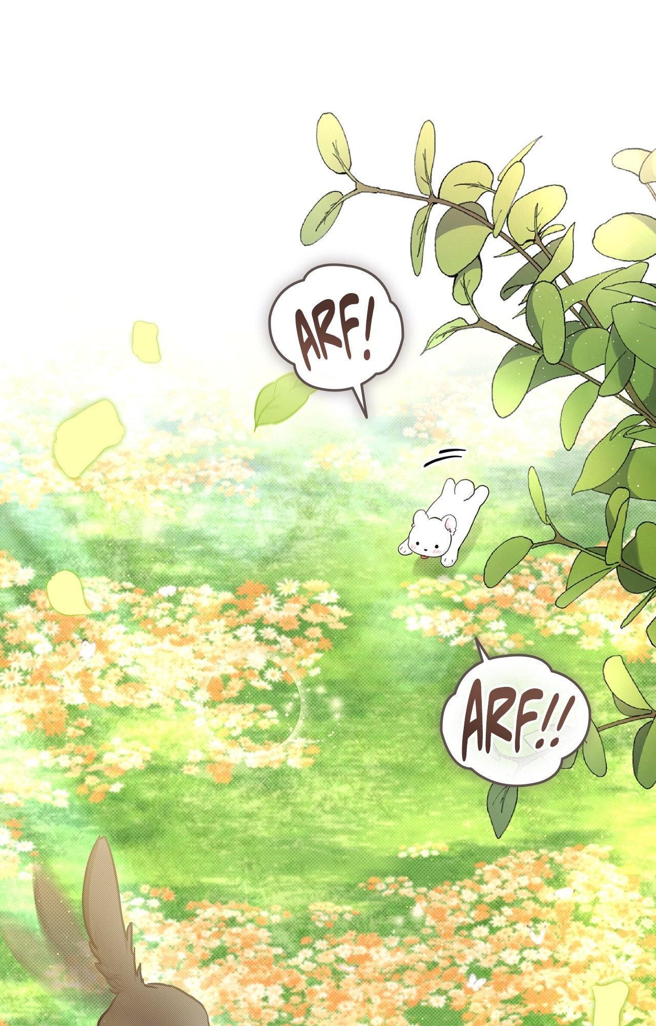 Paws & Claws - Chapter 44 manhwa