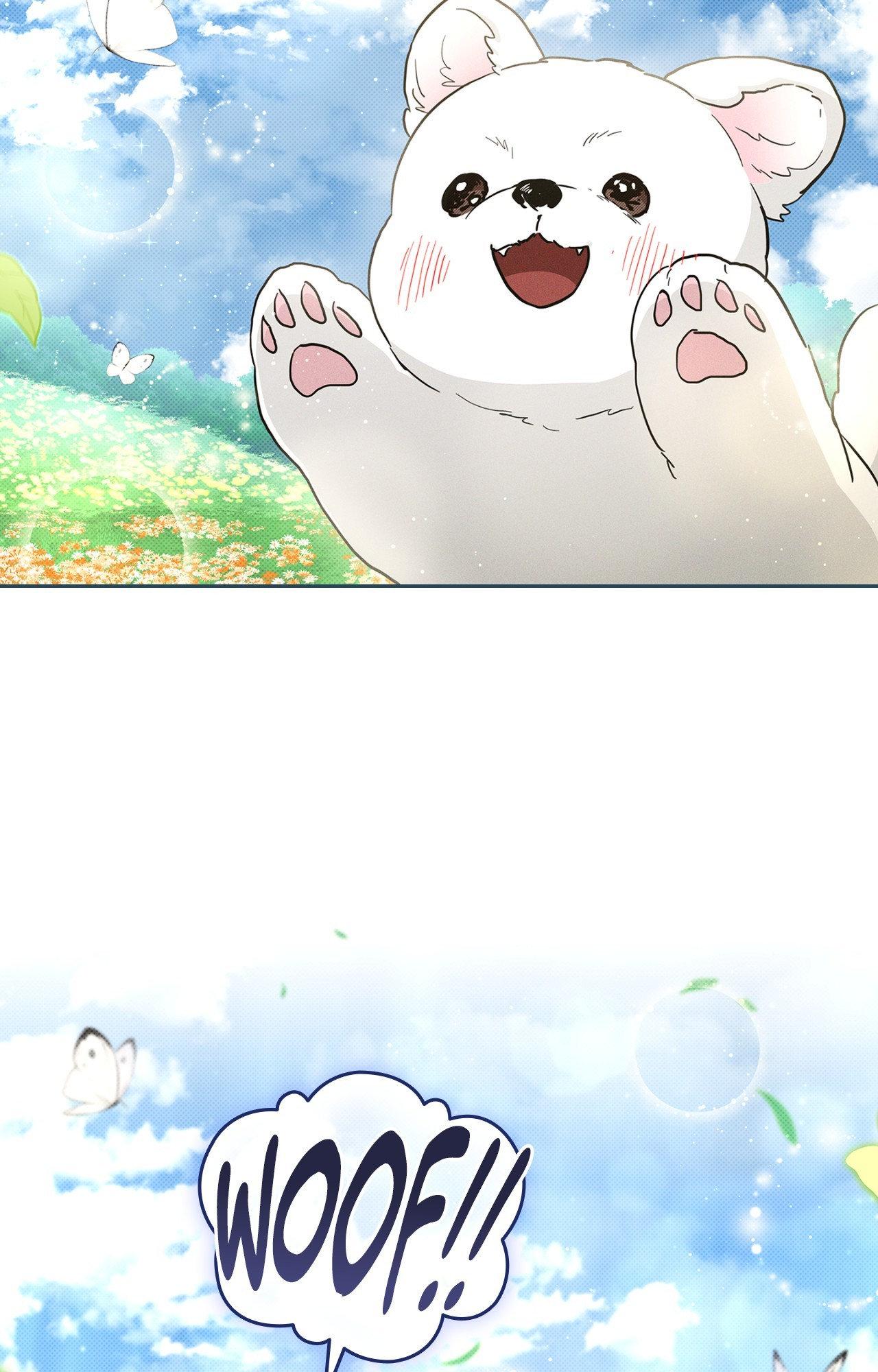 Paws & Claws - Chapter 44 manhwa