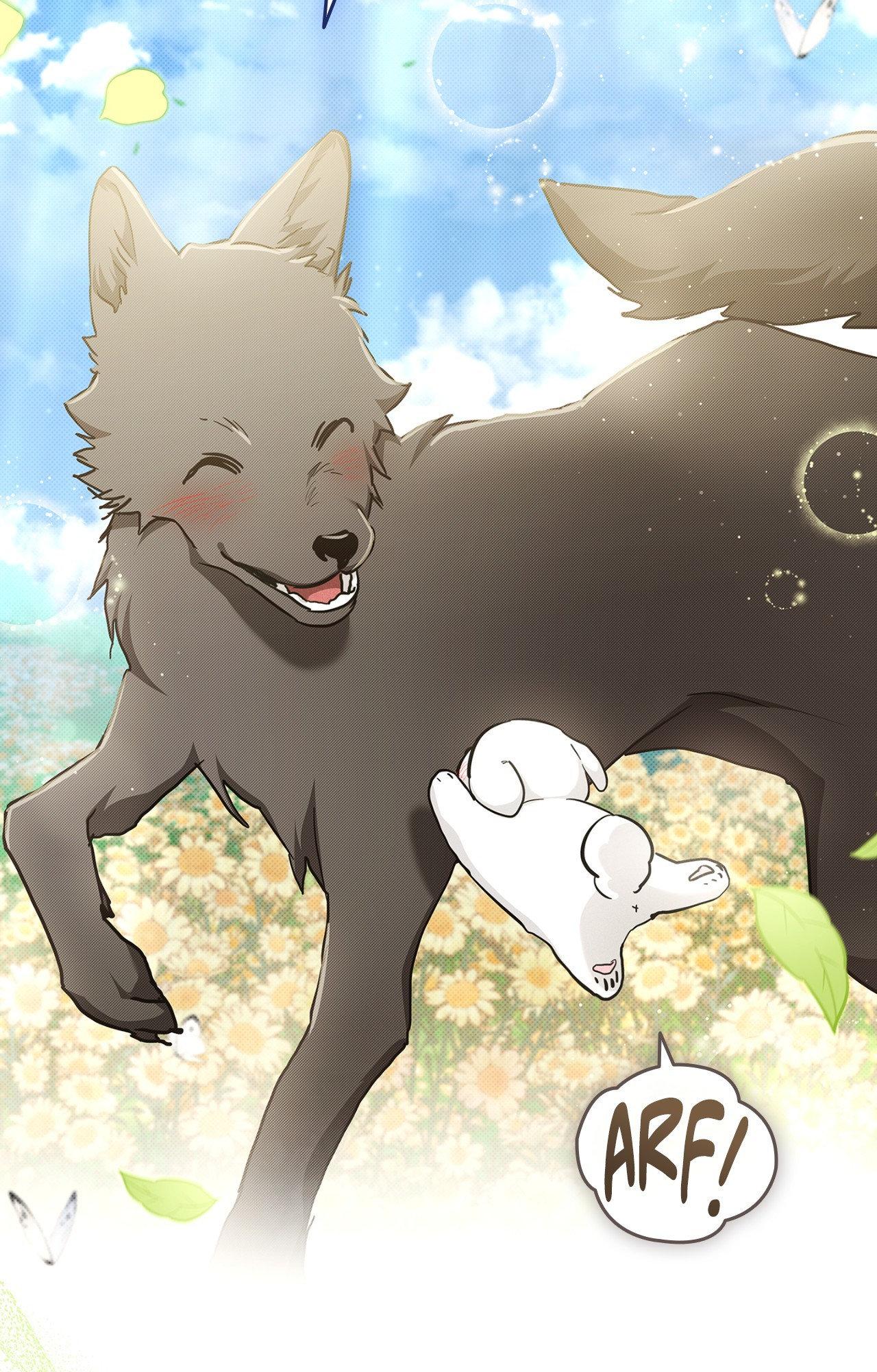 Paws & Claws - Chapter 44 manhwa